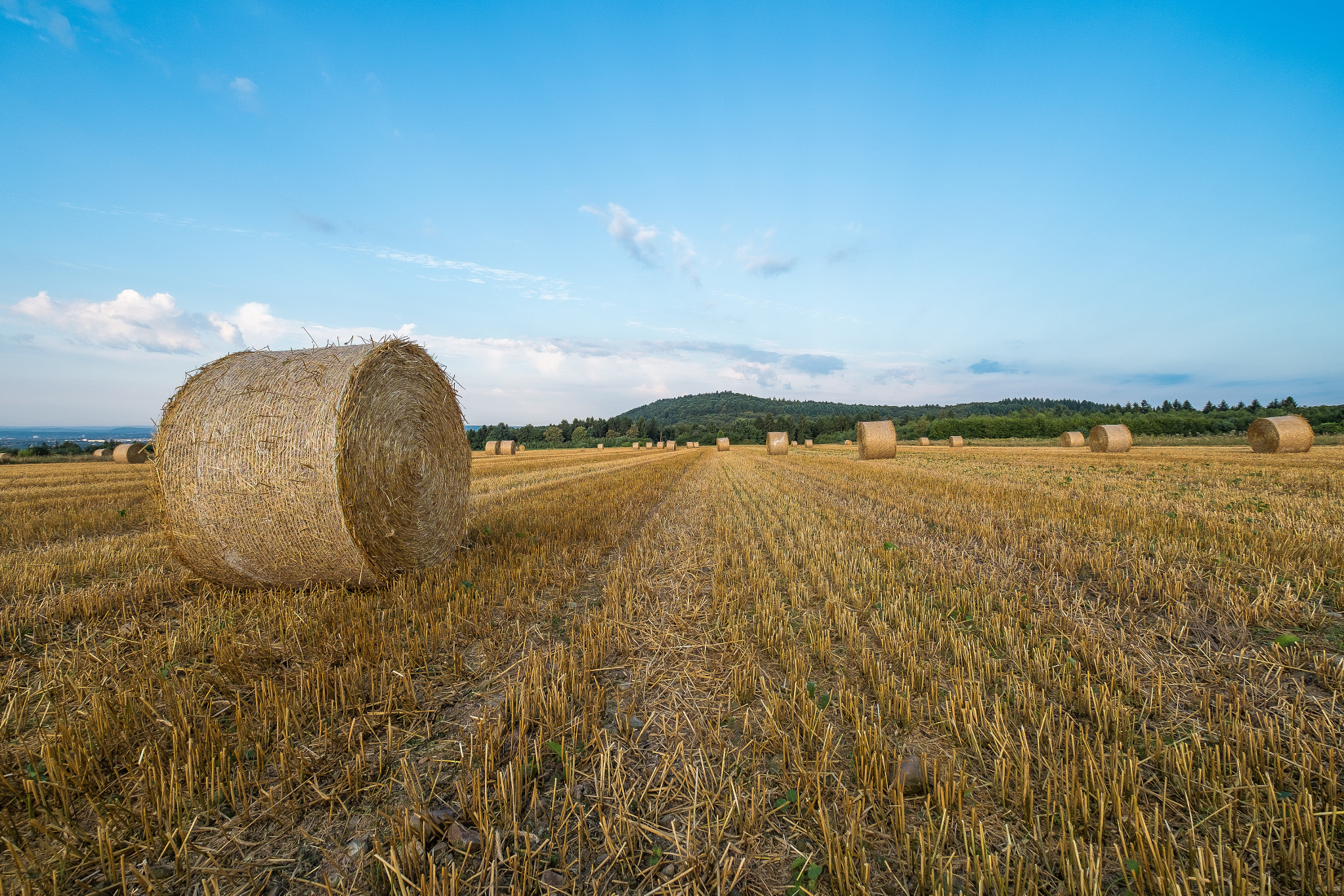 Fujifilm XF 10-24mm F4 R OIS sample photo. Straw photography
