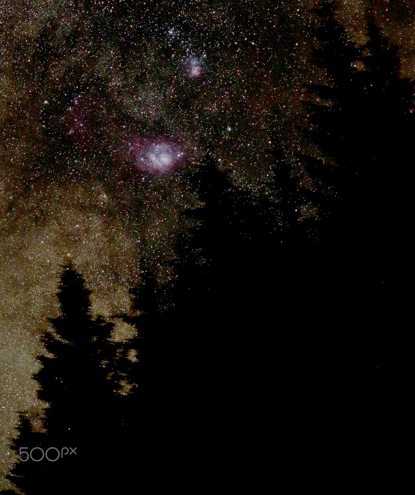 Canon EF 100mm F2.8 Macro USM sample photo. Milkyway through the woods photography