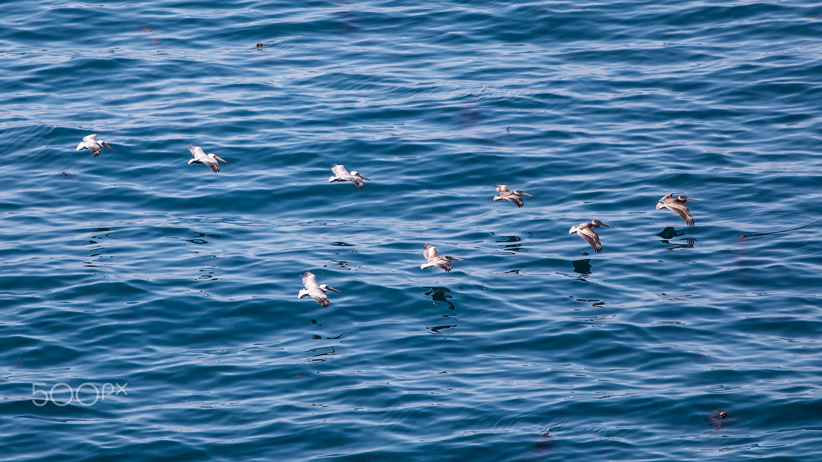 Canon EF 400mm F5.6L USM sample photo. Formation photography