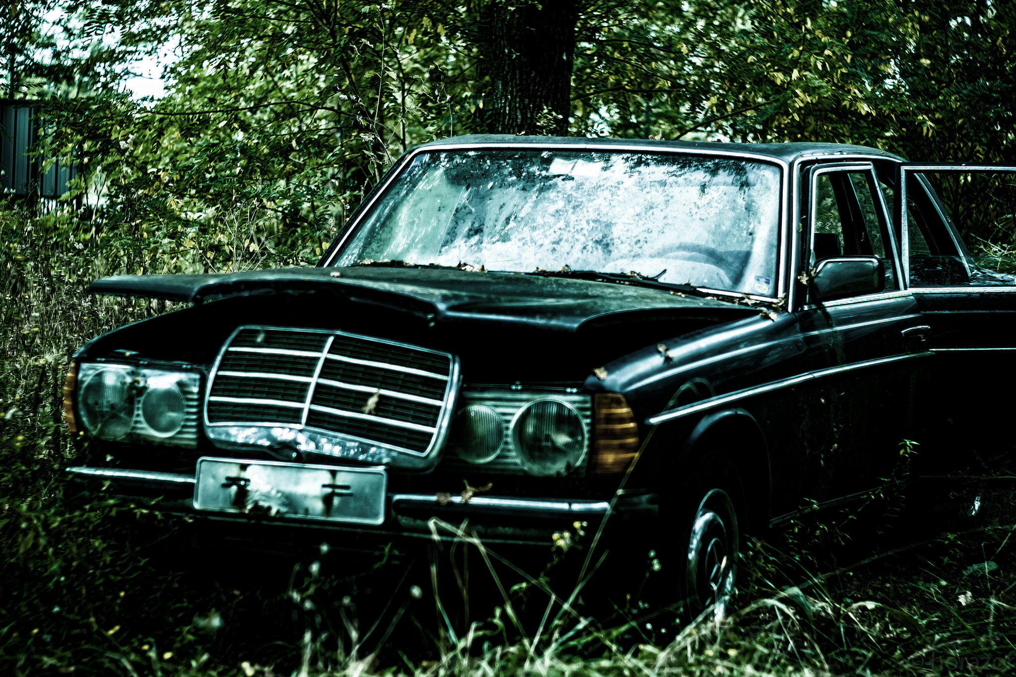 Canon EF 35-80mm f/4-5.6 sample photo. Mercedes photography