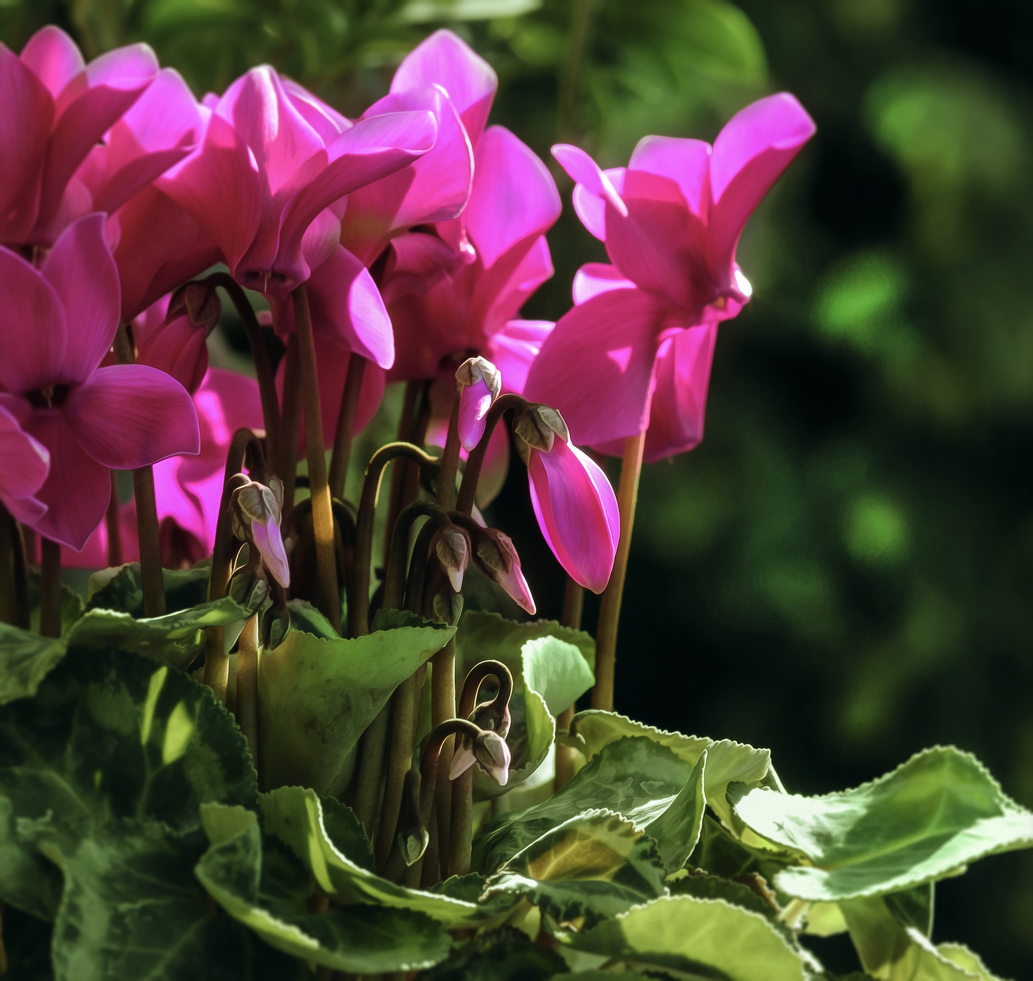 Canon EOS 70D + Canon EF 100mm F2.0 USM sample photo
