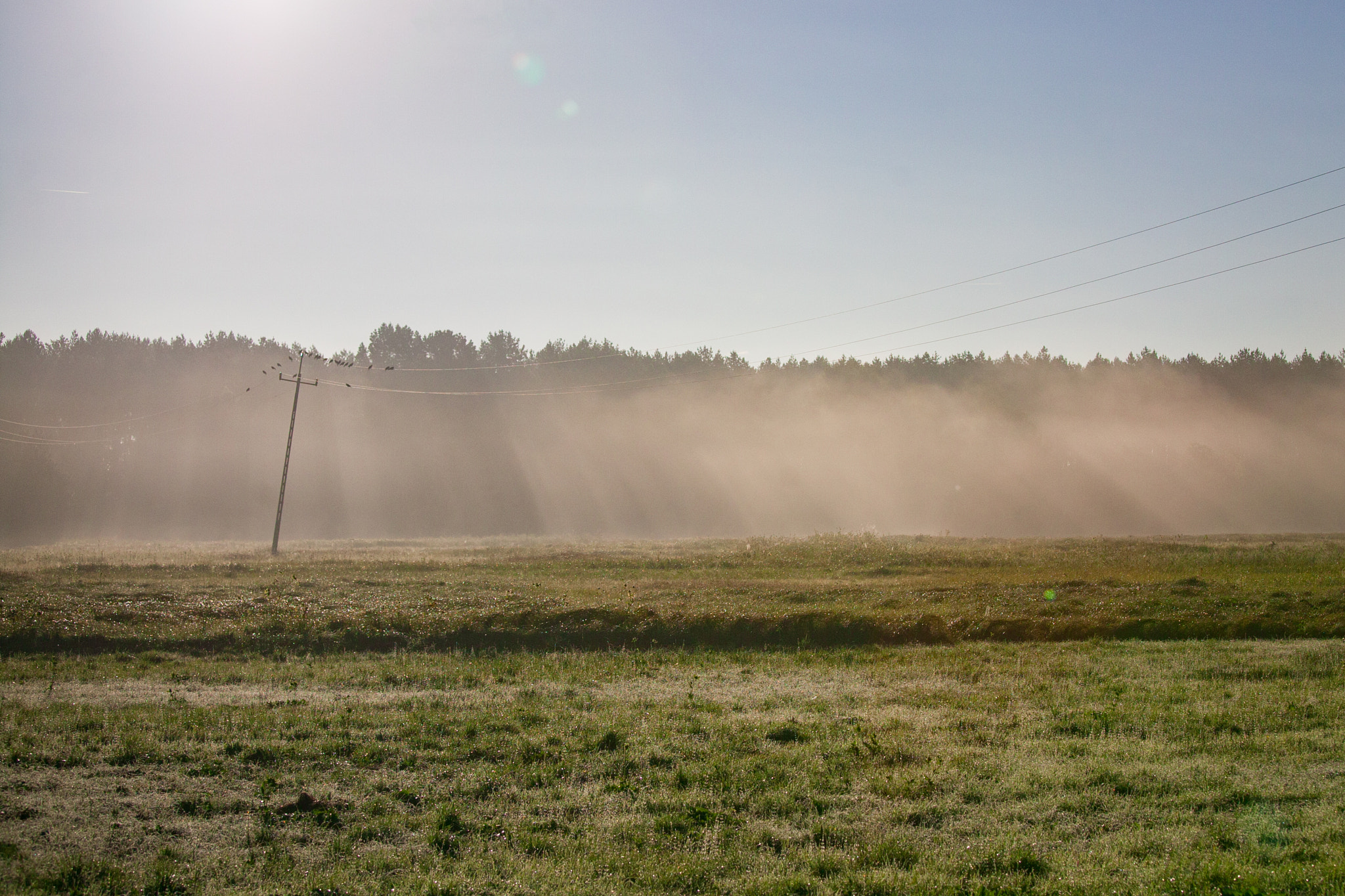 Canon EOS 5D + Canon EF 70-200mm F4L IS USM sample photo. Morning photography