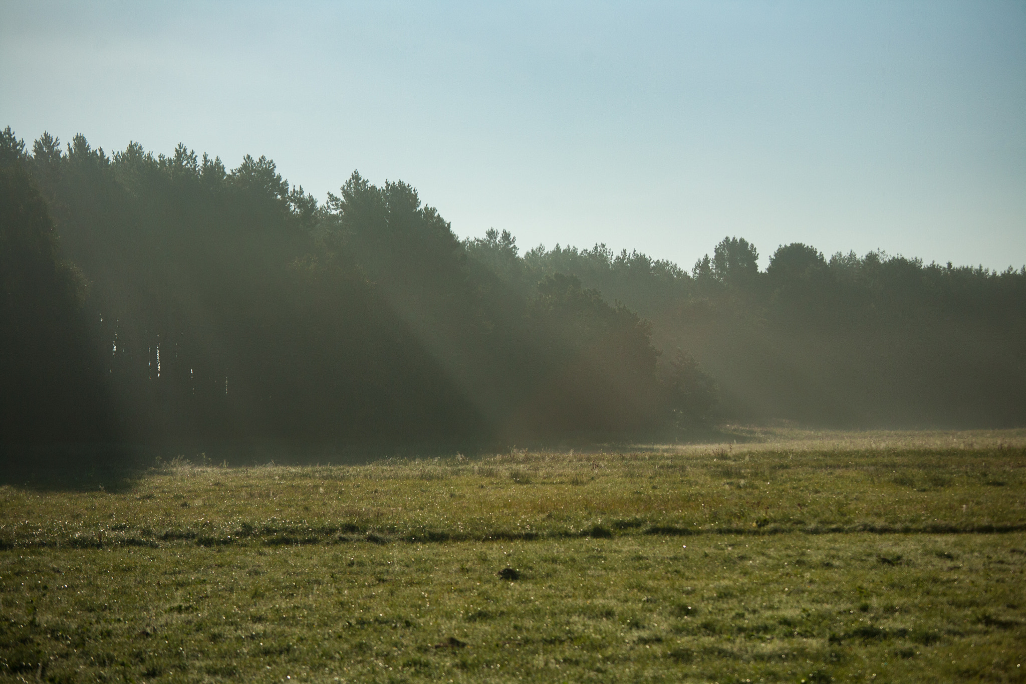 Canon EOS 5D + Canon EF 70-200mm F4L IS USM sample photo. Fog photography
