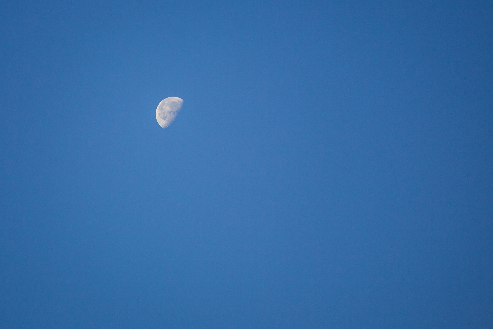 Canon EOS 5D + Canon EF 70-200mm F4L IS USM sample photo. Morning moon photography