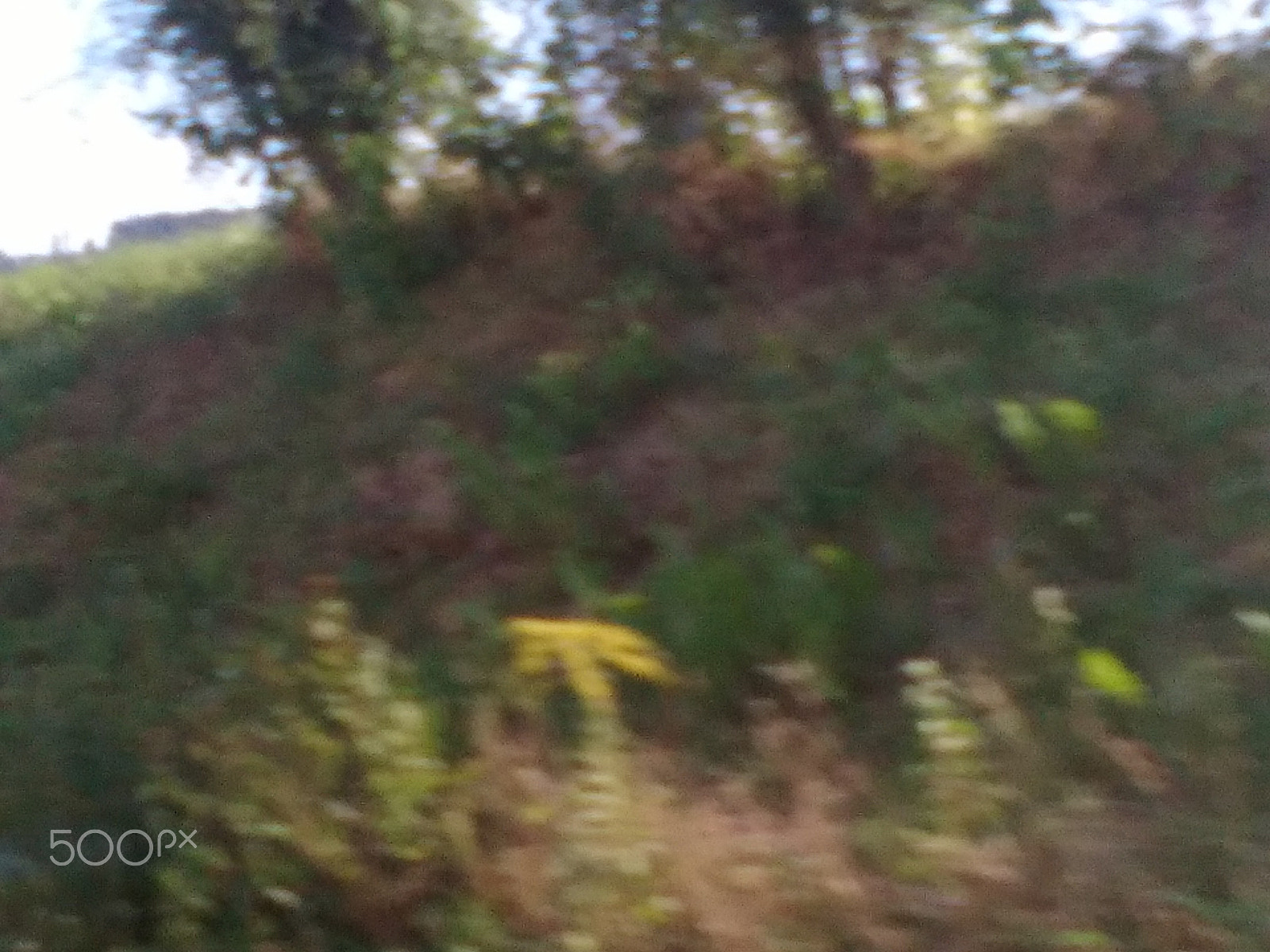 HUAWEI Y550-L01 sample photo. Img_20160808_140739.jpg photography