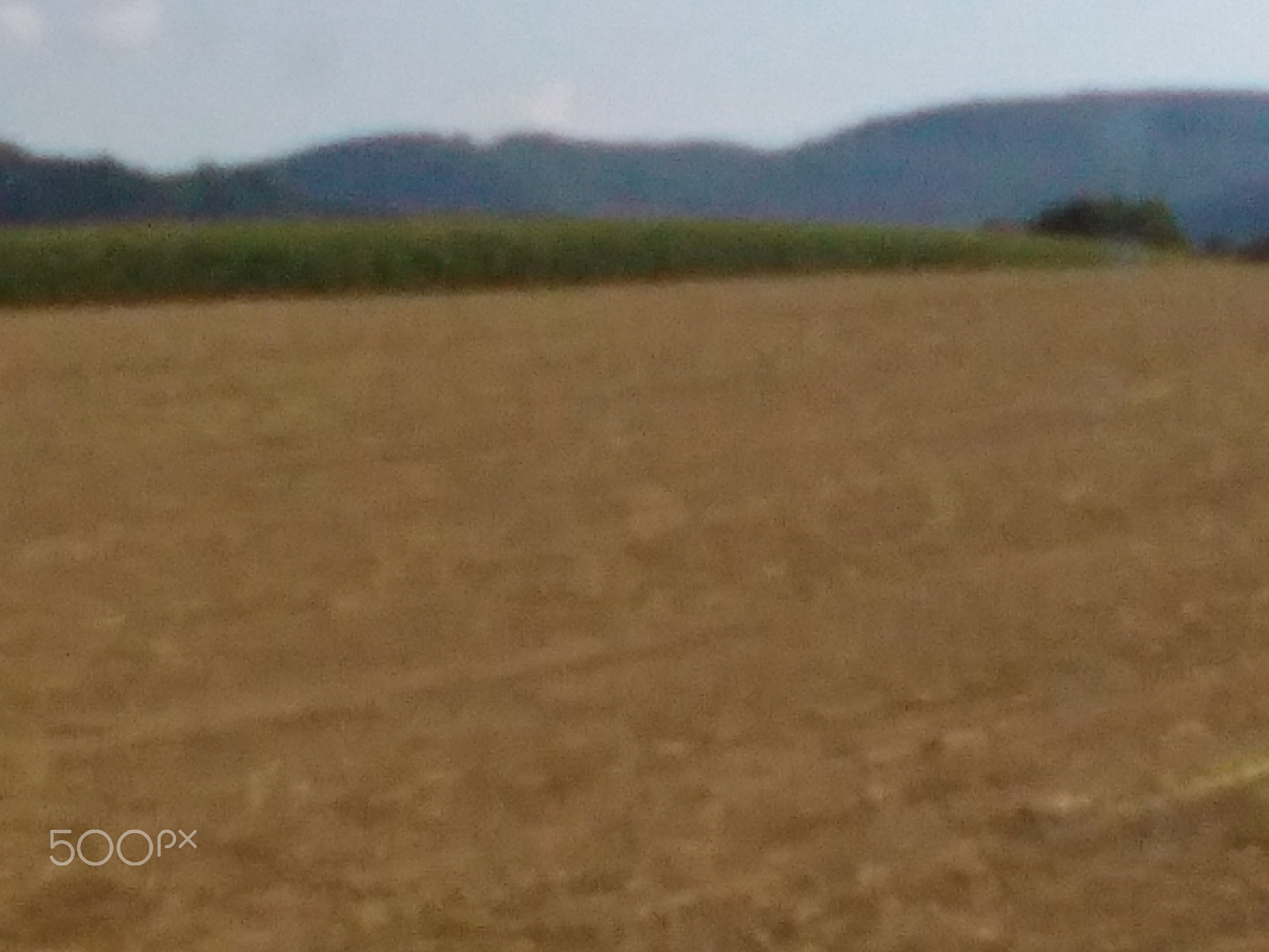 HUAWEI Y550-L01 sample photo. Img_20160808_140819.jpg photography