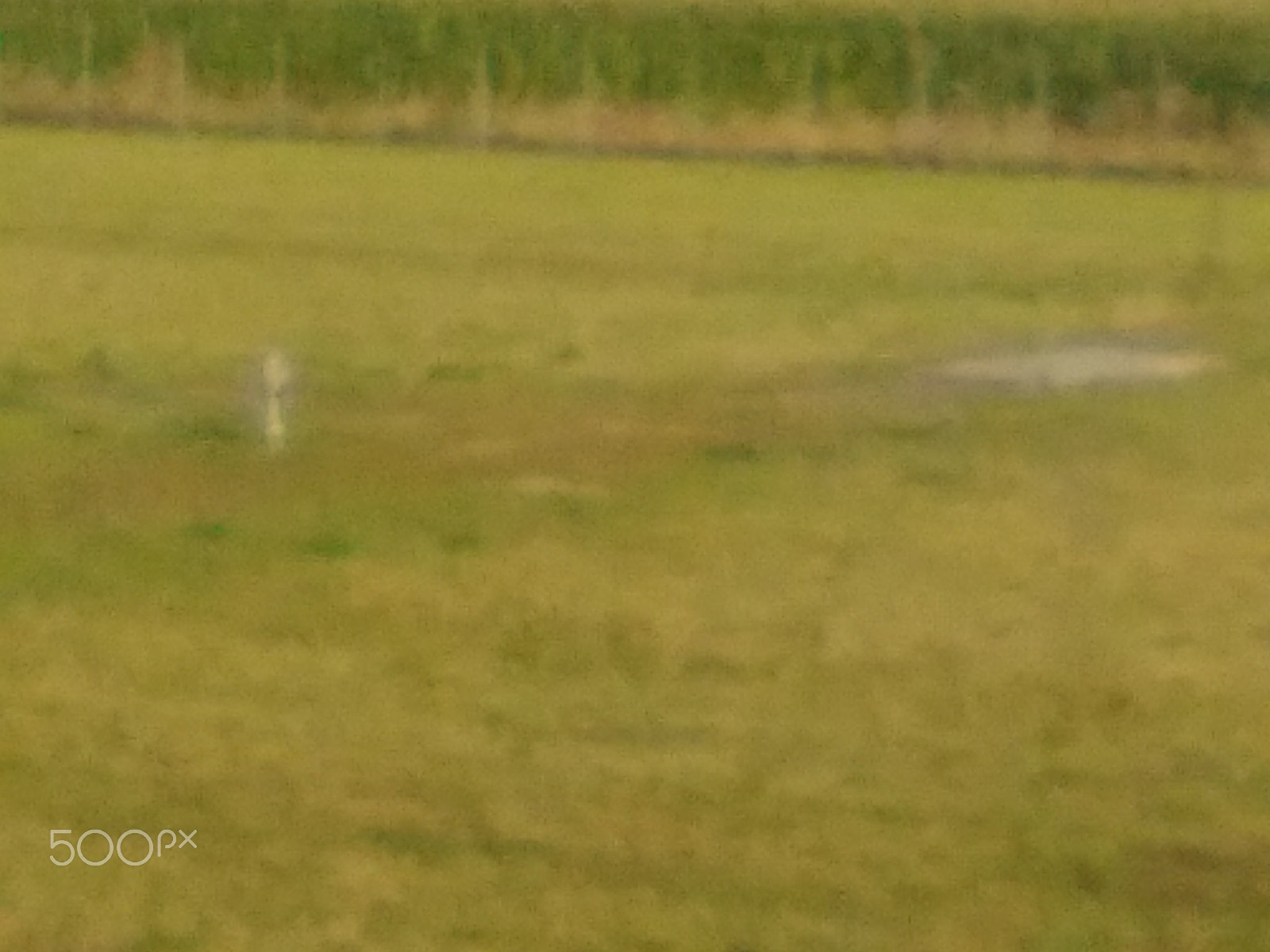 HUAWEI Y550-L01 sample photo. Burst photography