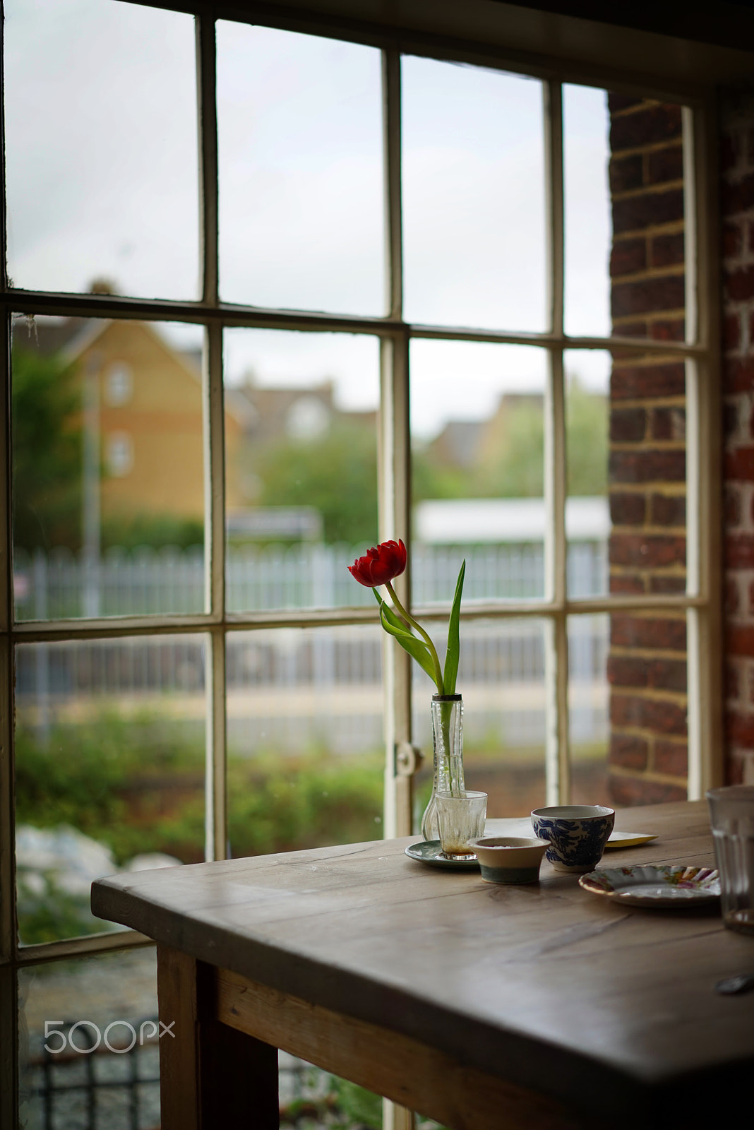 Sony a7R + Sony Sonnar T* FE 55mm F1.8 ZA sample photo. Flower window photography