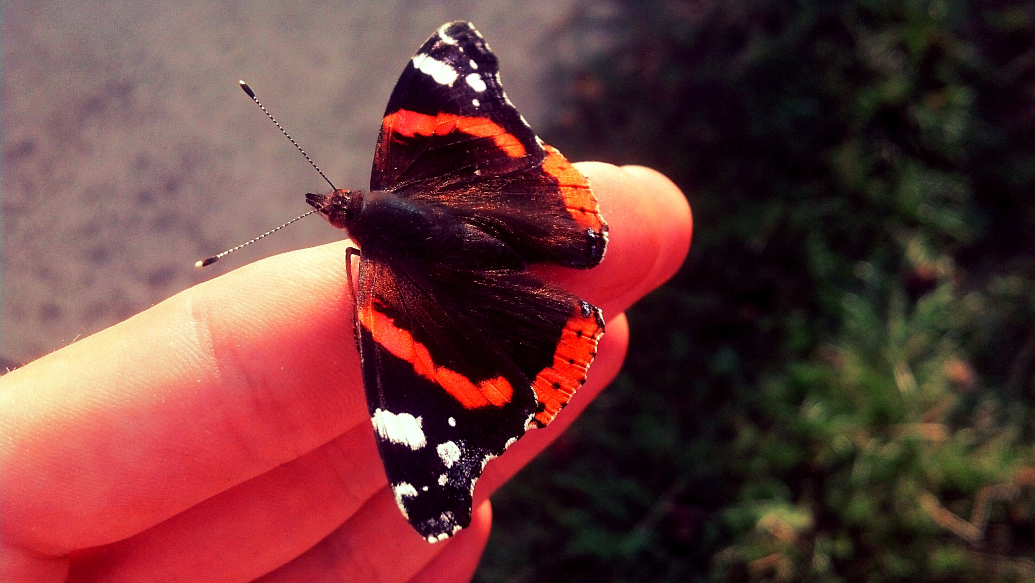 Motorola DROID RAZR sample photo