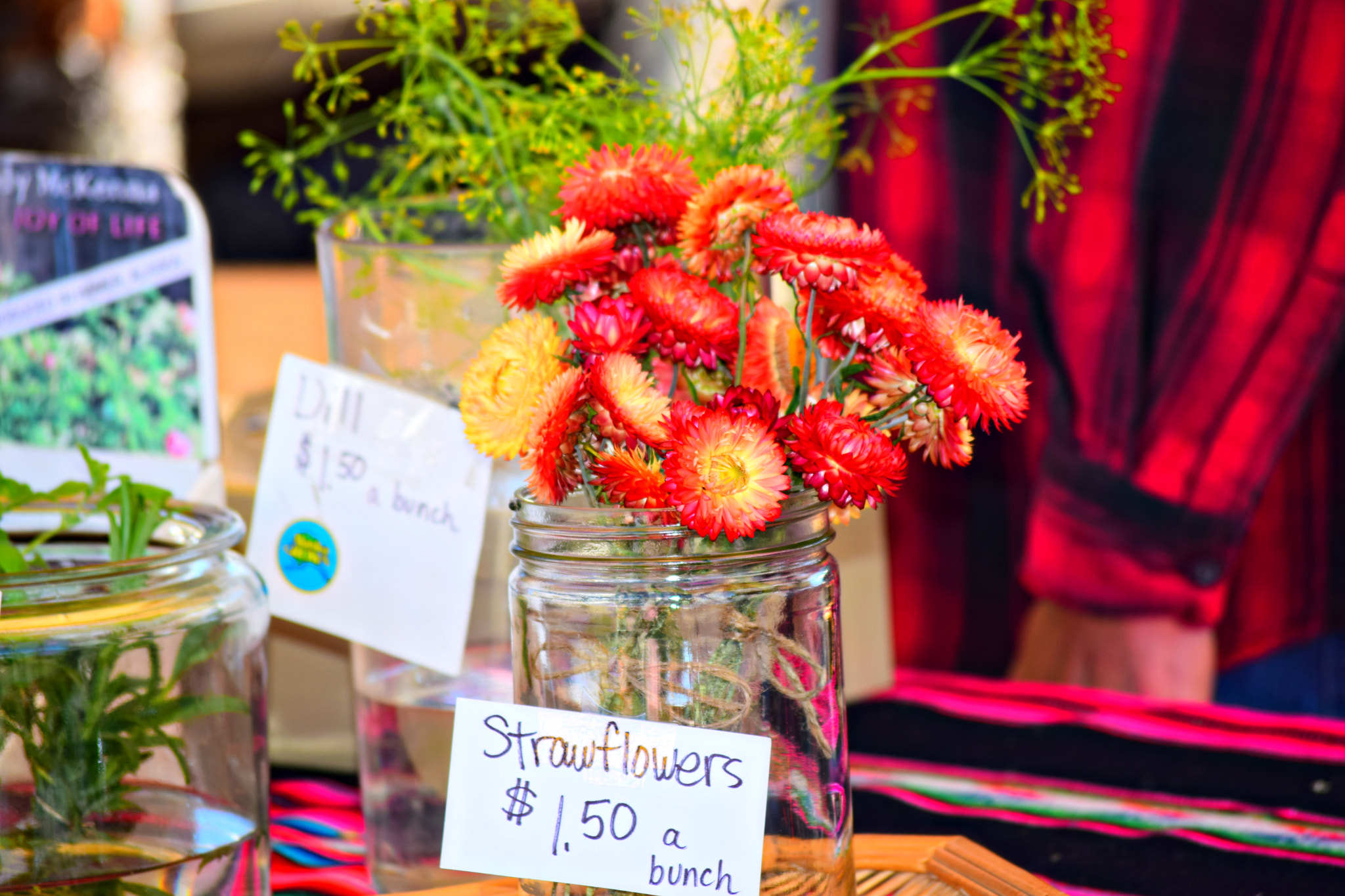 AF Nikkor 28mm f/1.4D sample photo. Alaska farmer's market photography