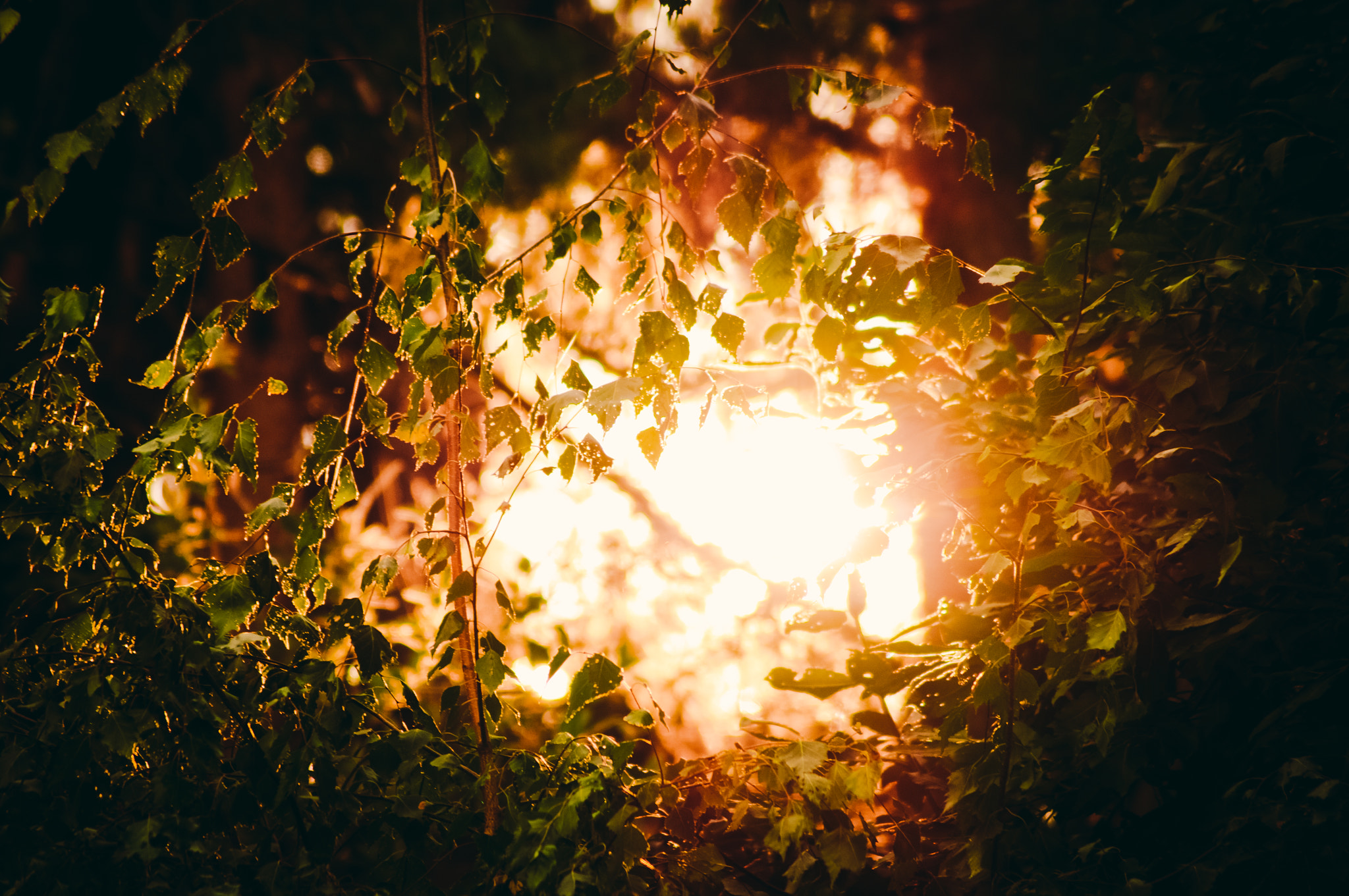 Tamron AF 55-200mm F4-5.6 Di II LD Macro sample photo. Last evening light photography