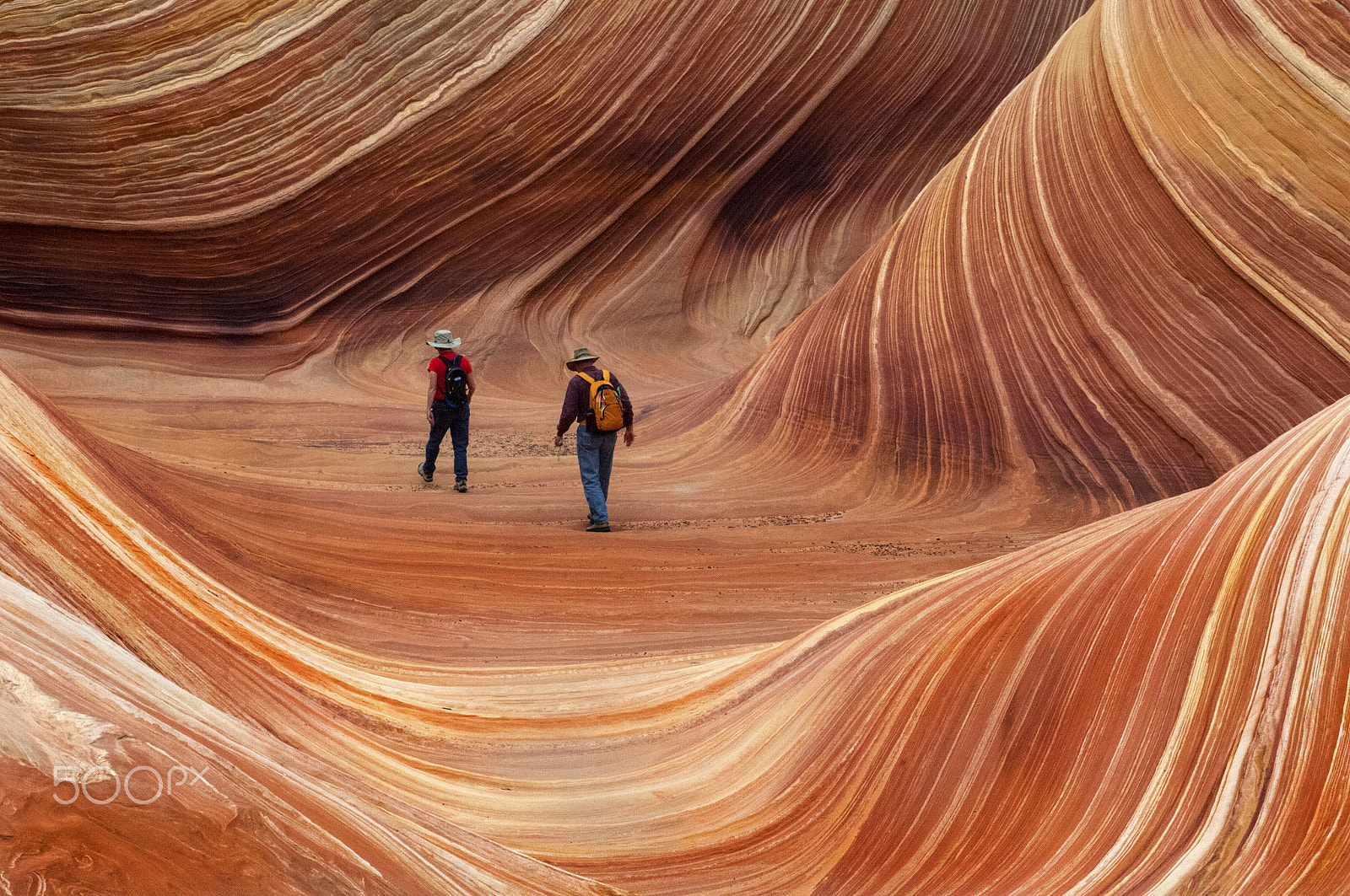 Nikon D2X sample photo. The wave seeking solitude photography