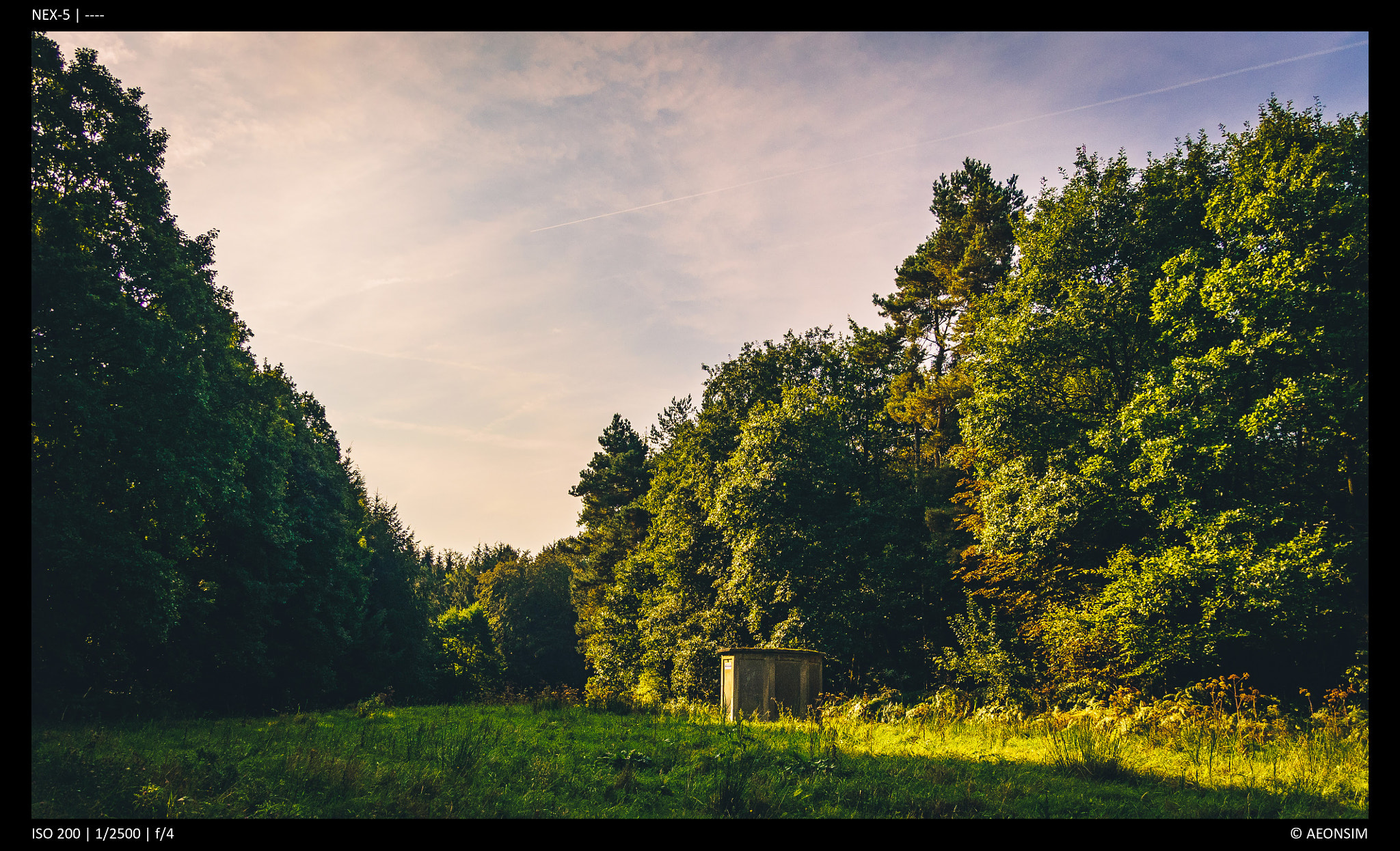 Sony Alpha NEX-5 sample photo. Morning light photography