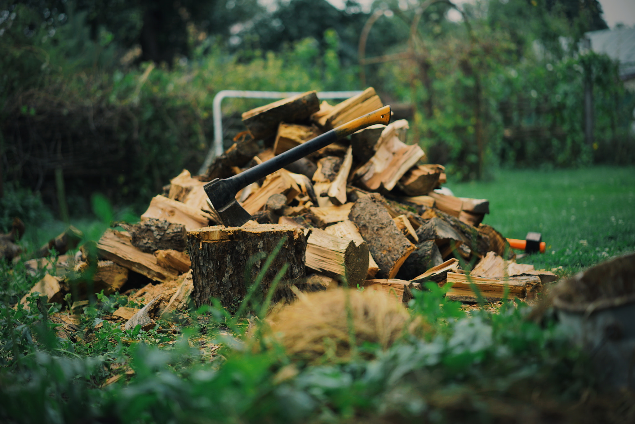 Sony a7S + Sony Sonnar T* FE 55mm F1.8 ZA sample photo. Axe & woods photography
