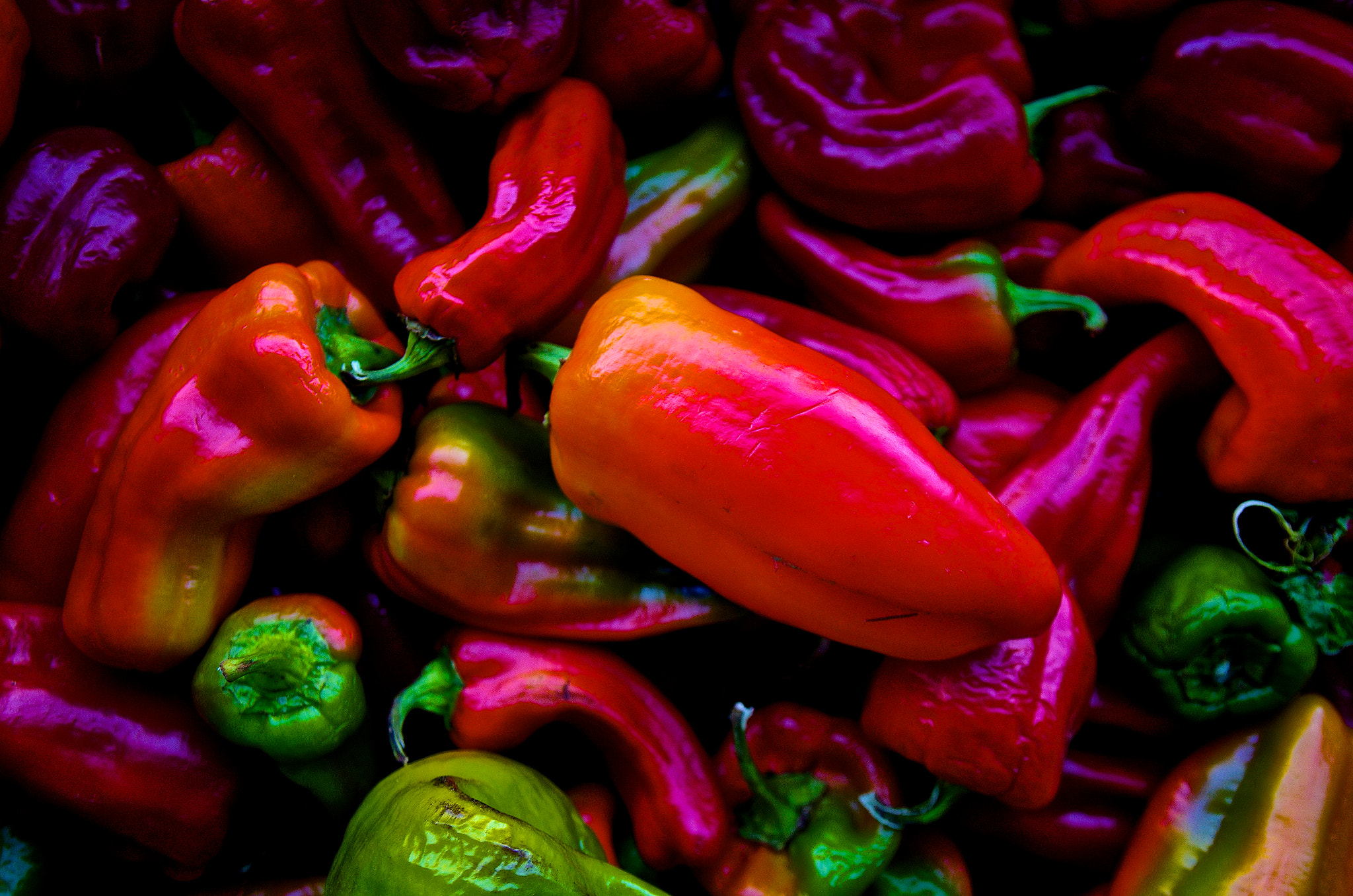 Pentax K-5 sample photo. Pepper harvest photography