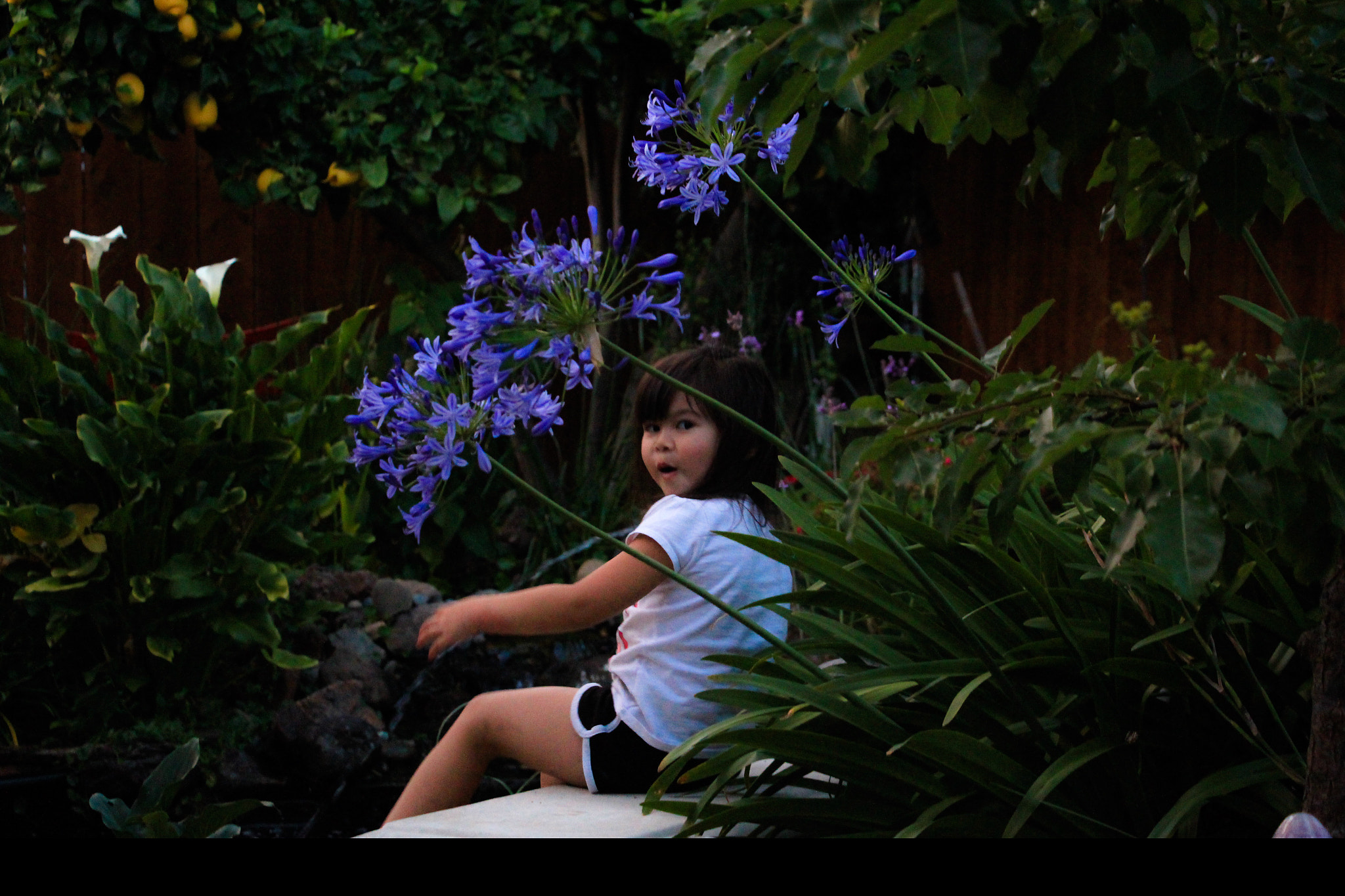Canon EOS 700D (EOS Rebel T5i / EOS Kiss X7i) sample photo. Playing by the pond... photography