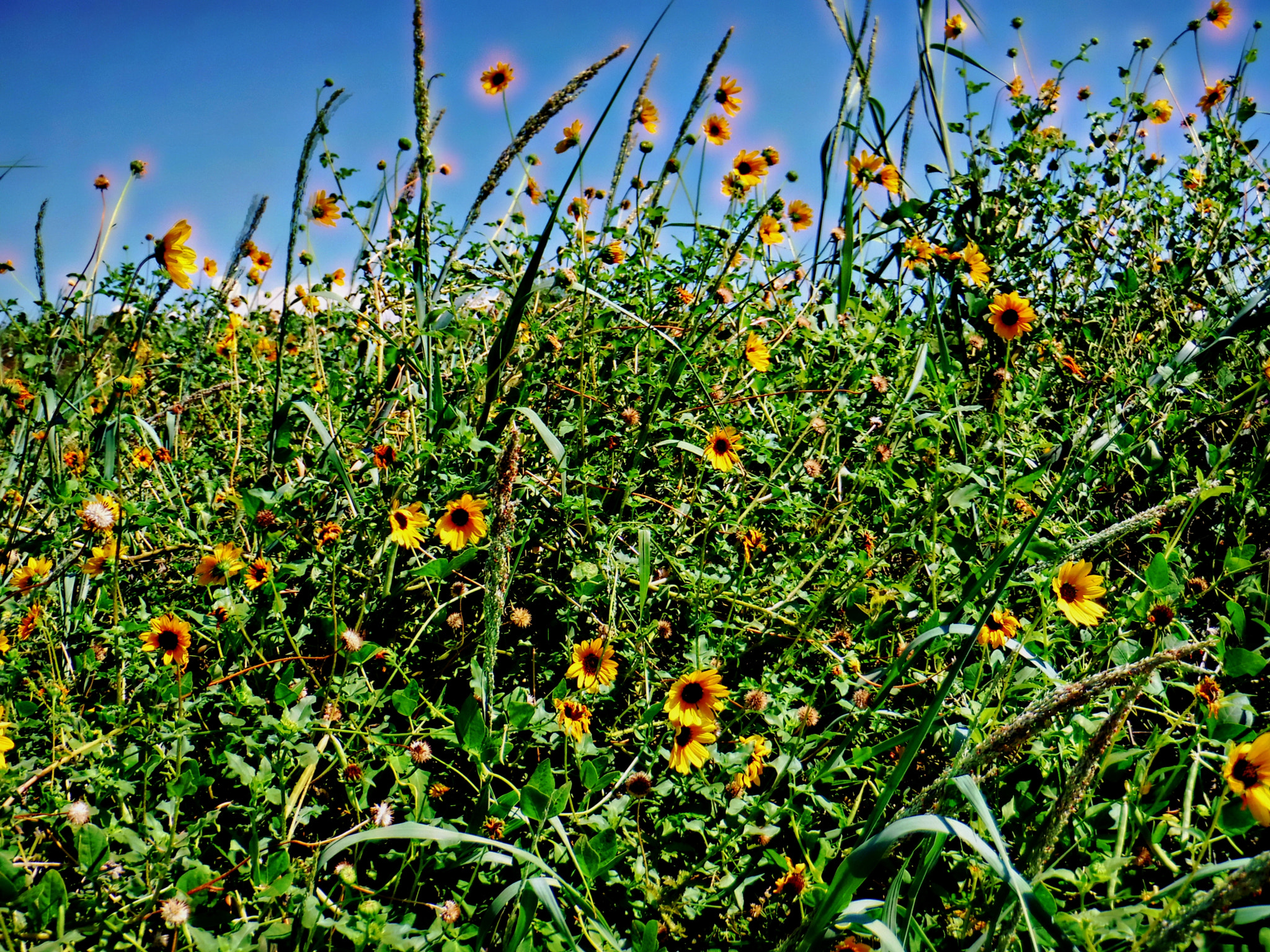 Fujifilm FinePix XP90 XP91 XP95 sample photo