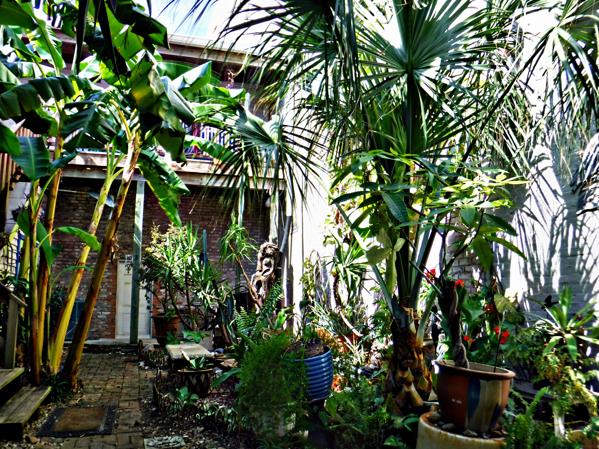 Fujifilm FinePix XP90 XP91 XP95 sample photo