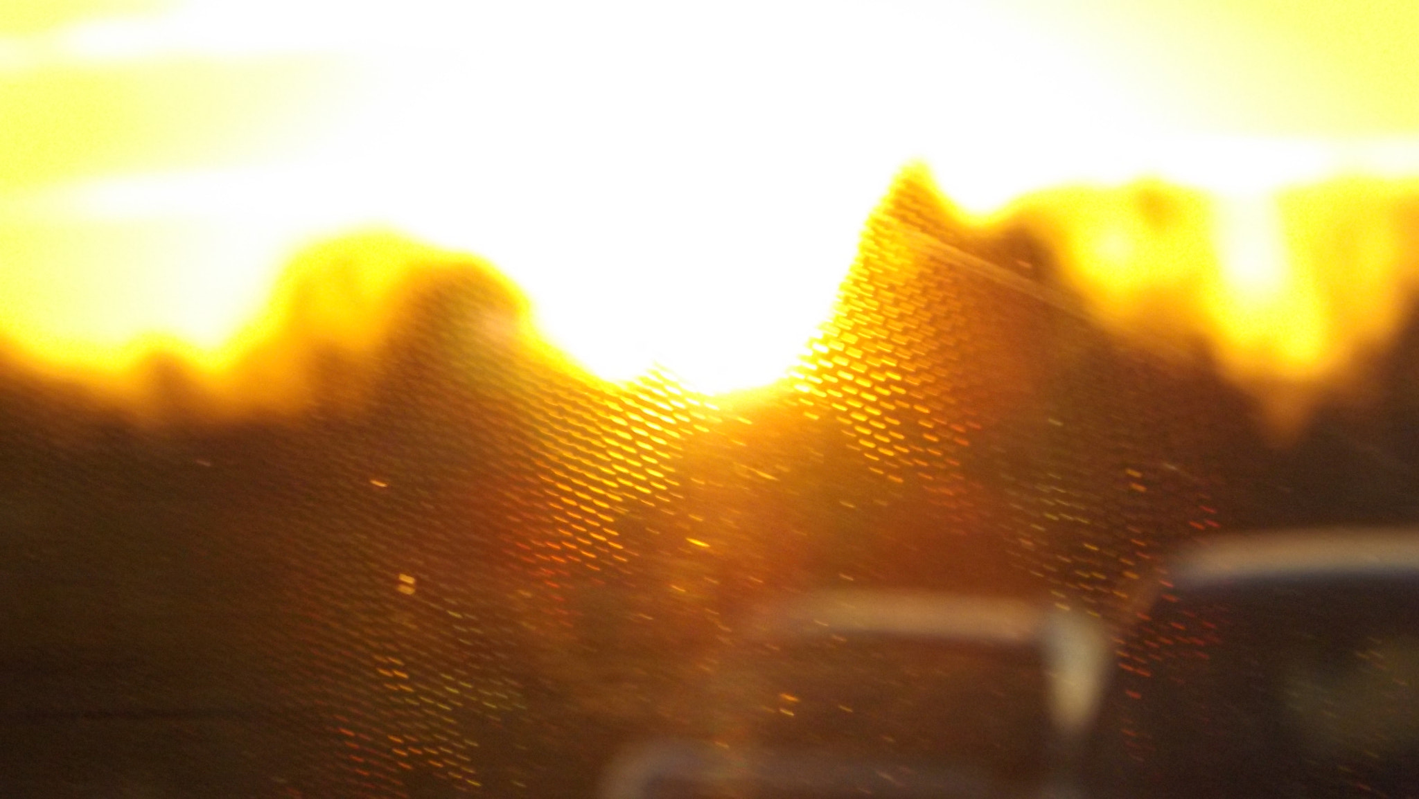 Fujifilm FinePix SL260 sample photo. Fredom photography