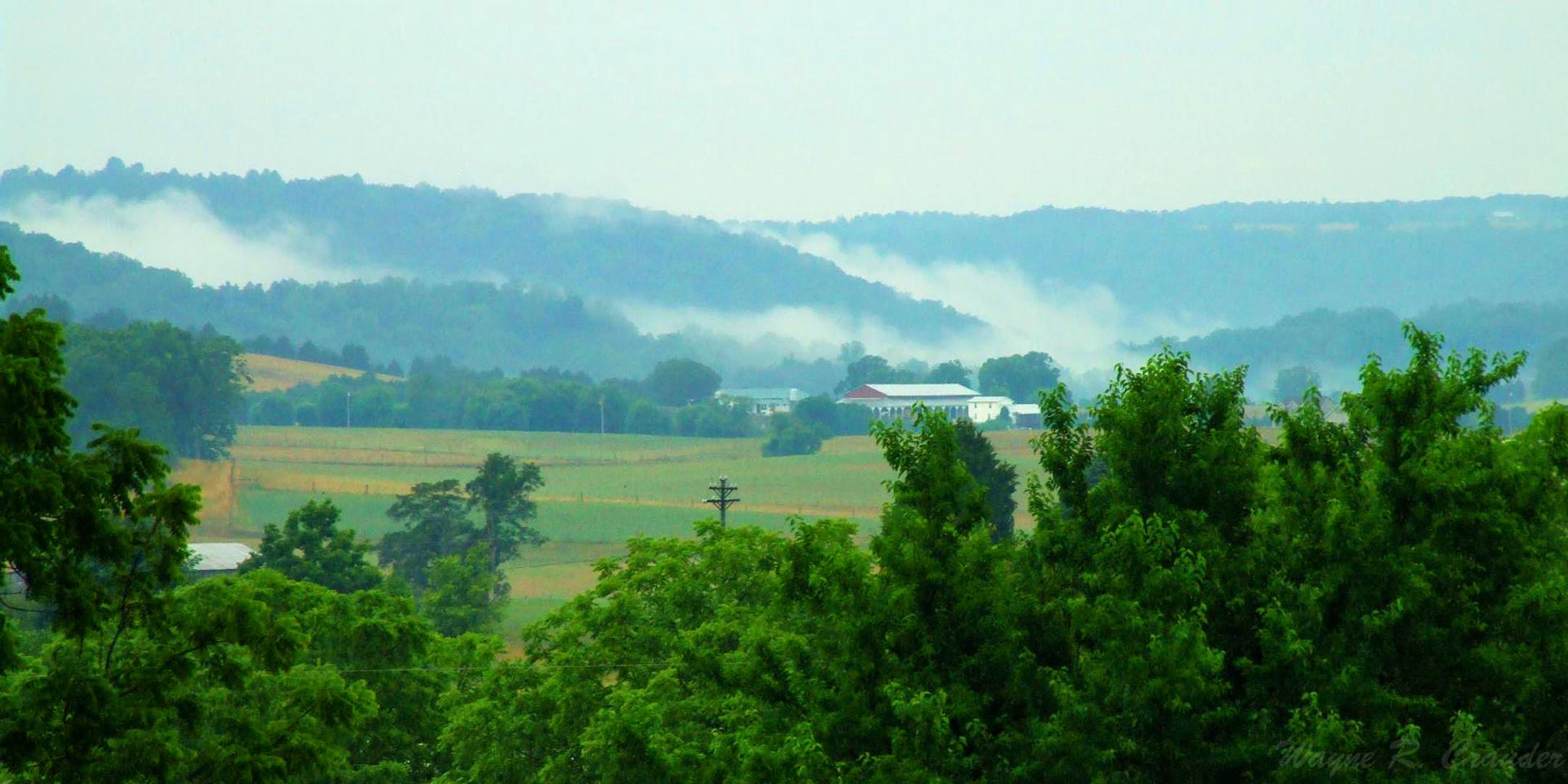 Fujifilm FinePix S9000 sample photo. Fog in kentucky mountains photography