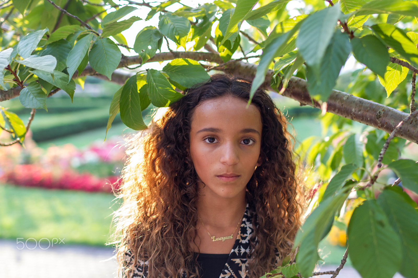 Canon EOS 7D + Canon EF 35mm F1.4L USM sample photo. Trees photography