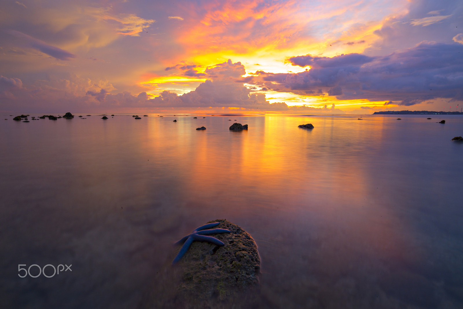 Leica M (Typ 240) + Leica Tri-Elmar-M 16-18-21mm F4 ASPH sample photo. Starfish photography