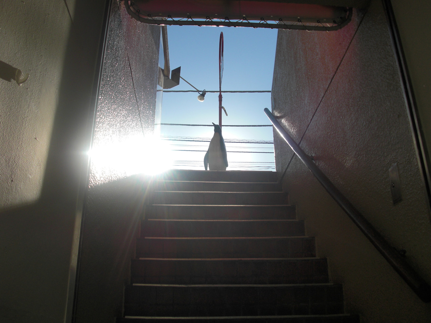CASIO EX-S10 sample photo. Stairs way to the blue sky photography