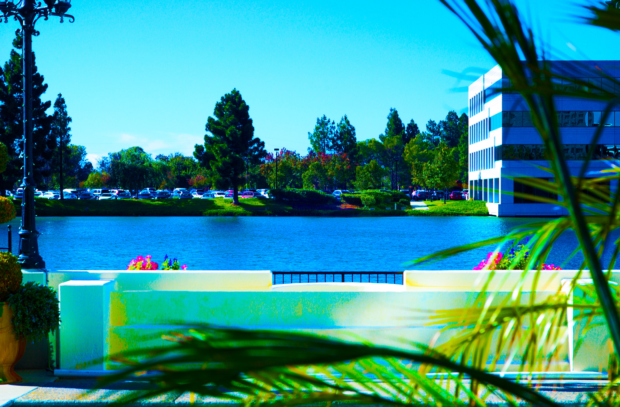 Nikon D1X sample photo. Nef photography