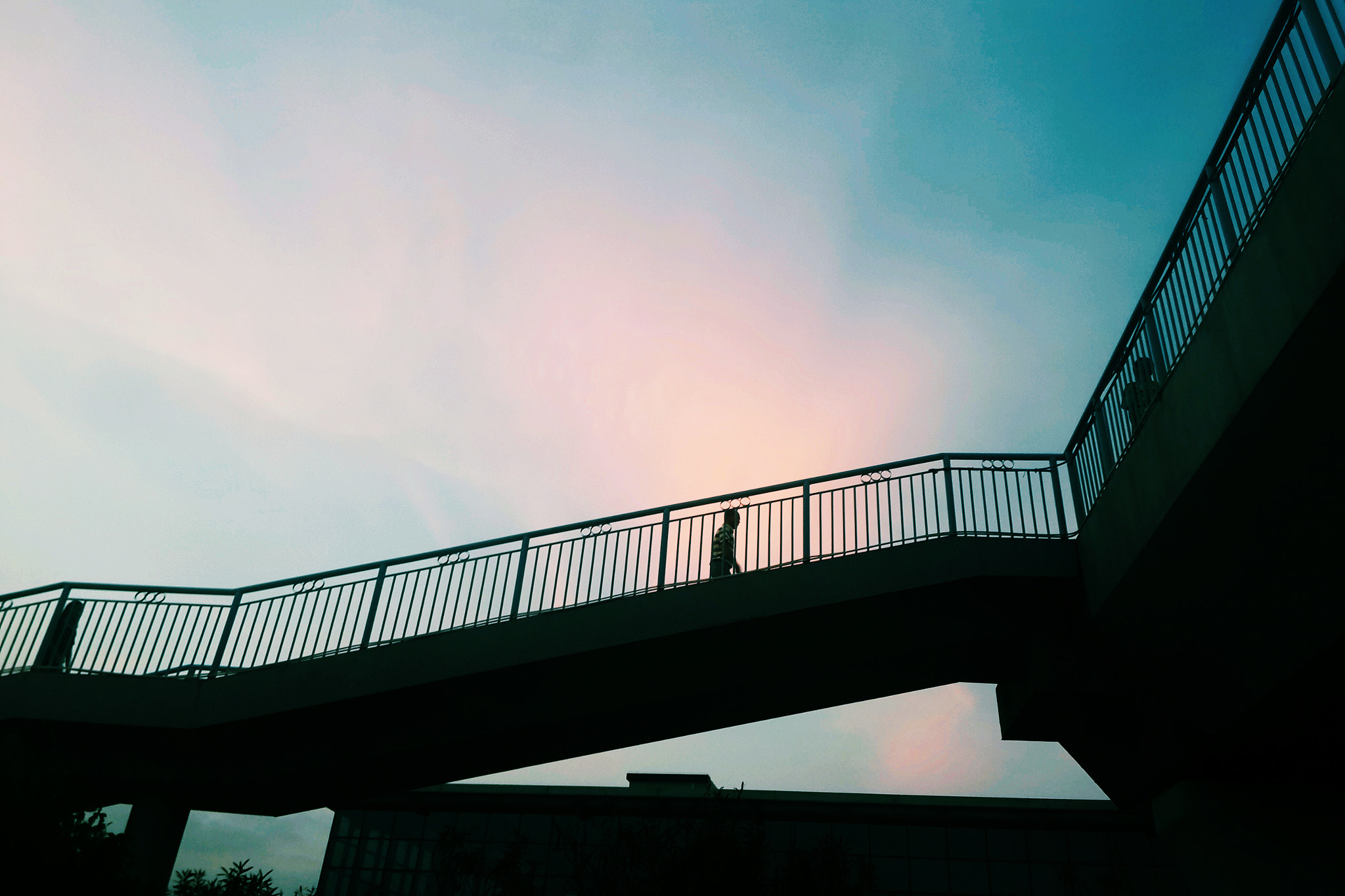 Meizu MX4 Pro sample photo. 醒 photography