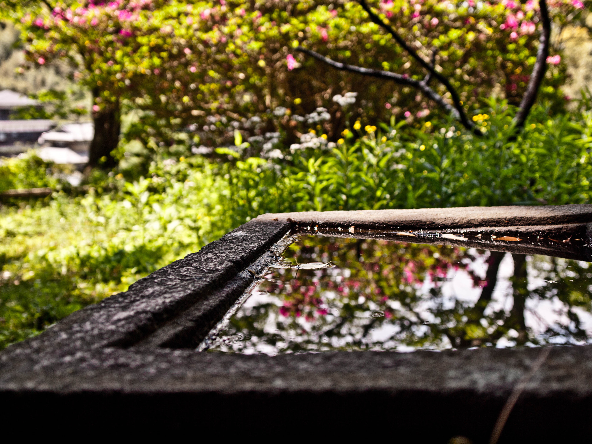 OLYMPUS 14-54mm Lens sample photo. Reflection photography