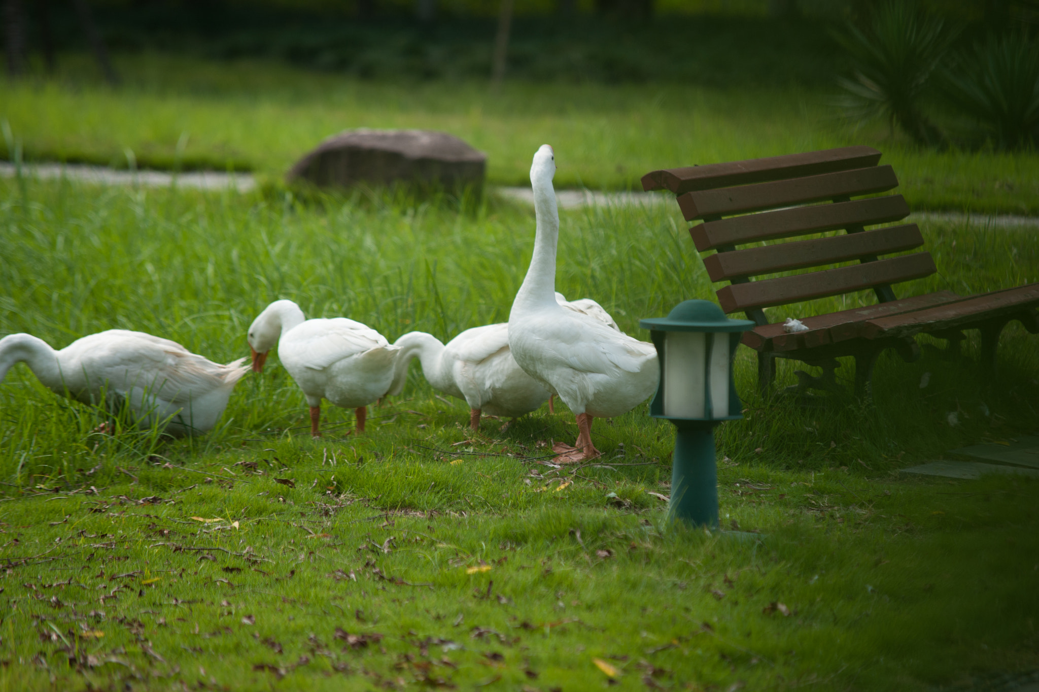 Sigma 70-200mm F2.8 EX DG Macro HSM II sample photo. 杭电一角 photography