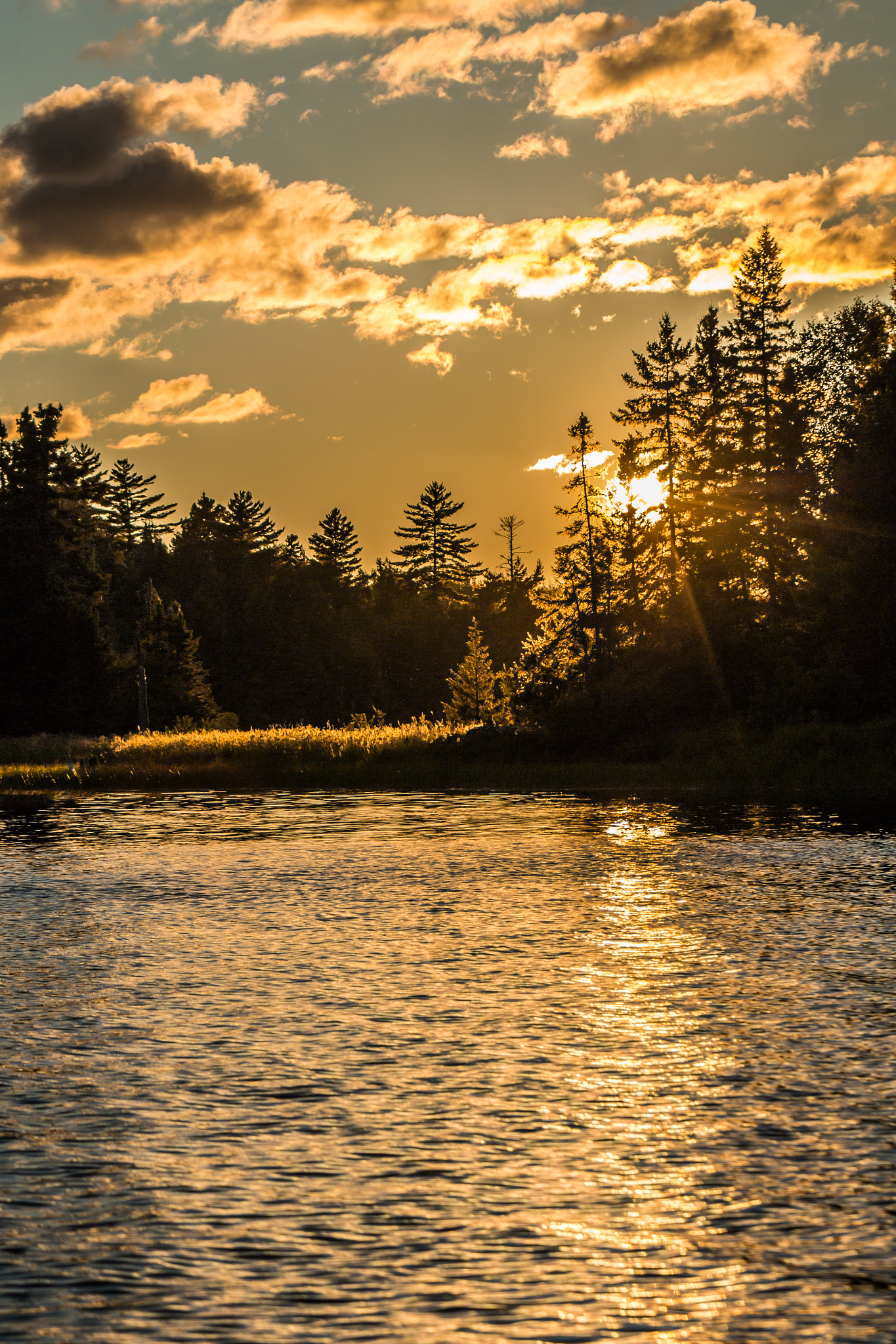 Canon EF 55-200mm F4.5-5.6 II USM sample photo. Sunset silhouettes photography