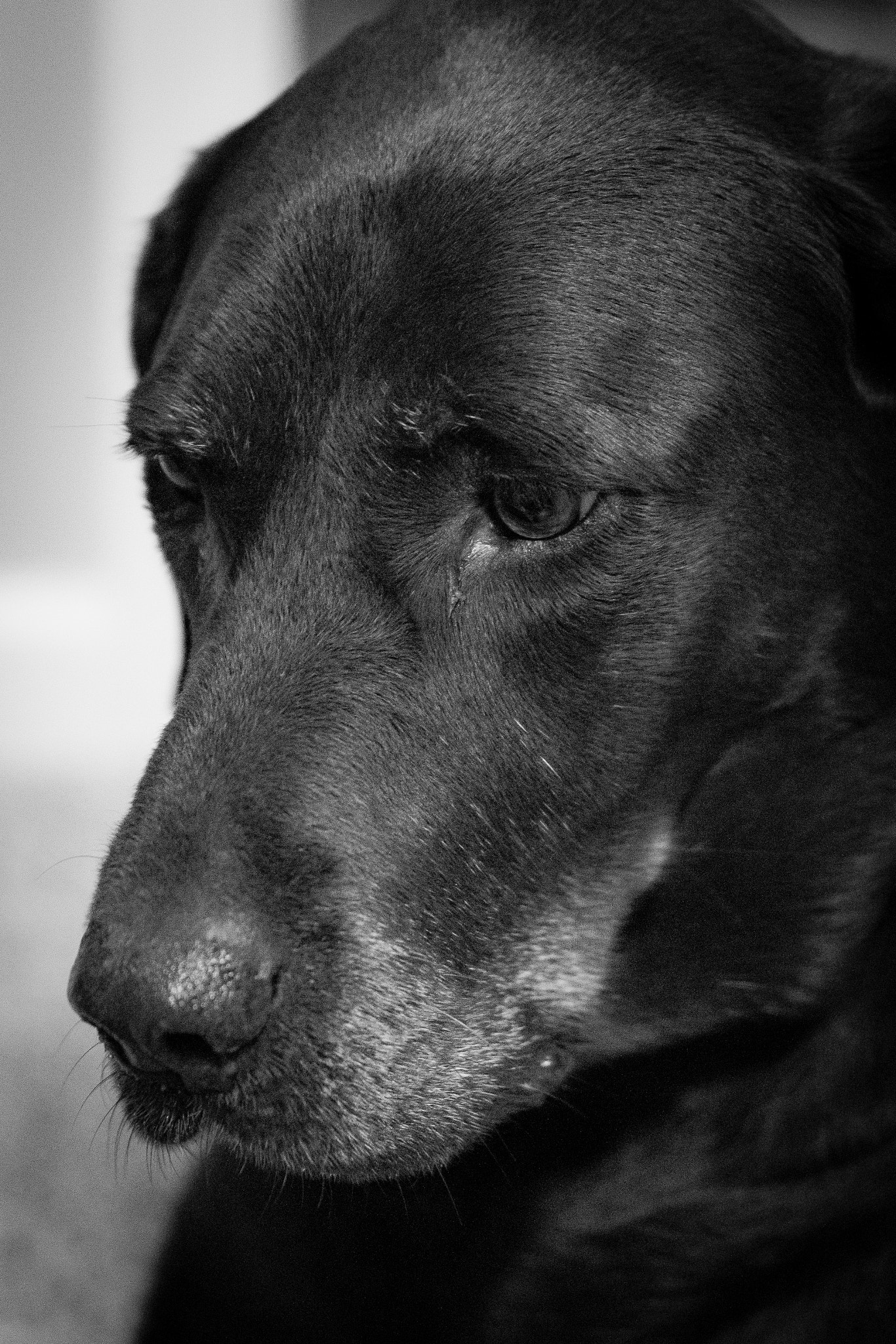 Sigma 24-70mm F2.8 EX DG HSM sample photo. Lexie photography