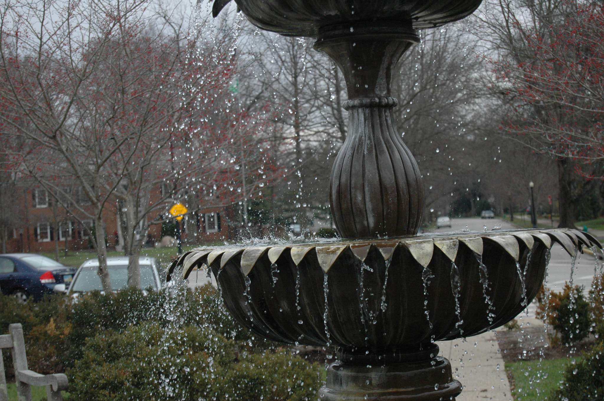 Nikon D70 sample photo. 2015 photography