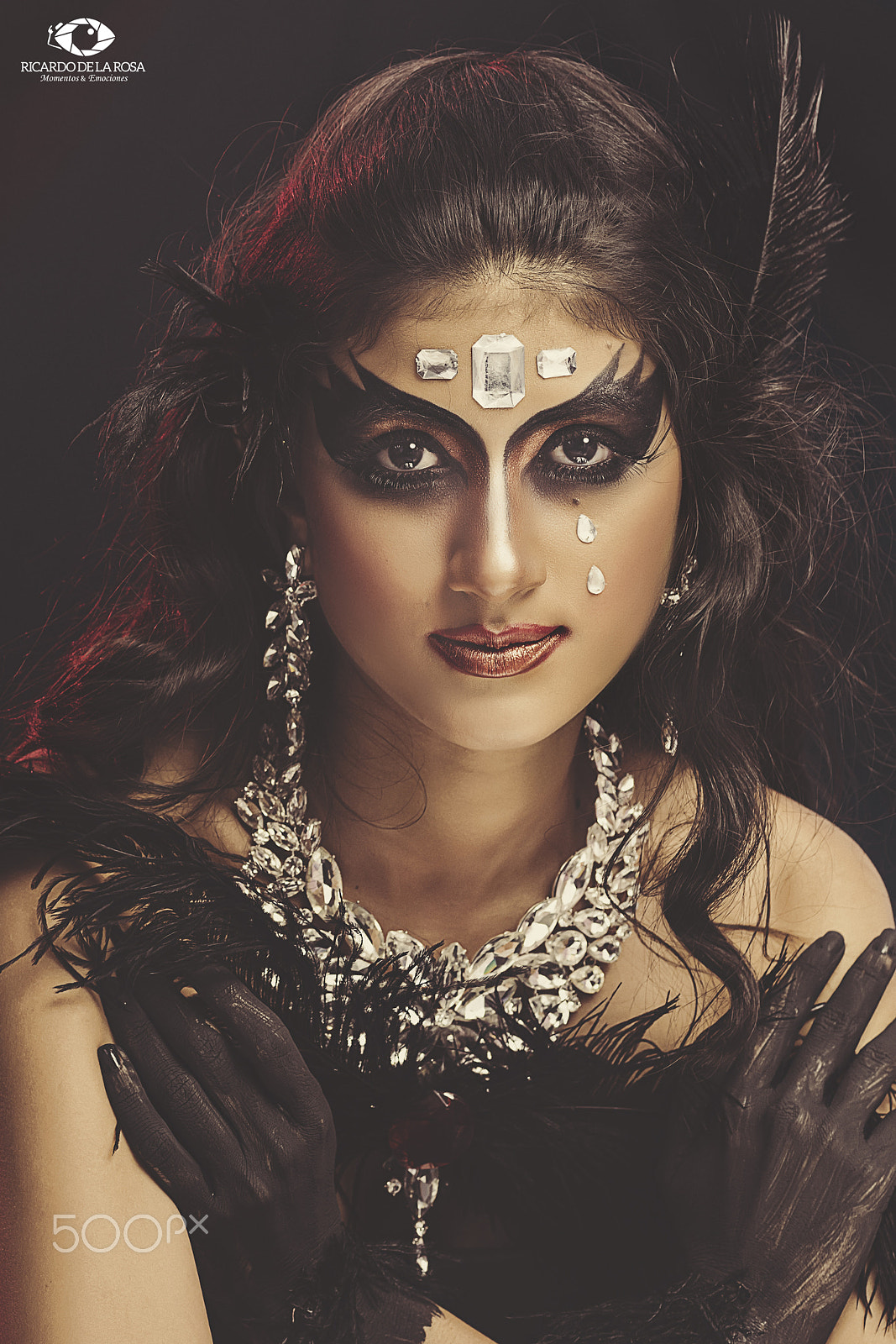 Nikon D7100 + AF Micro-Nikkor 105mm f/2.8 sample photo. Samerly the crow photography