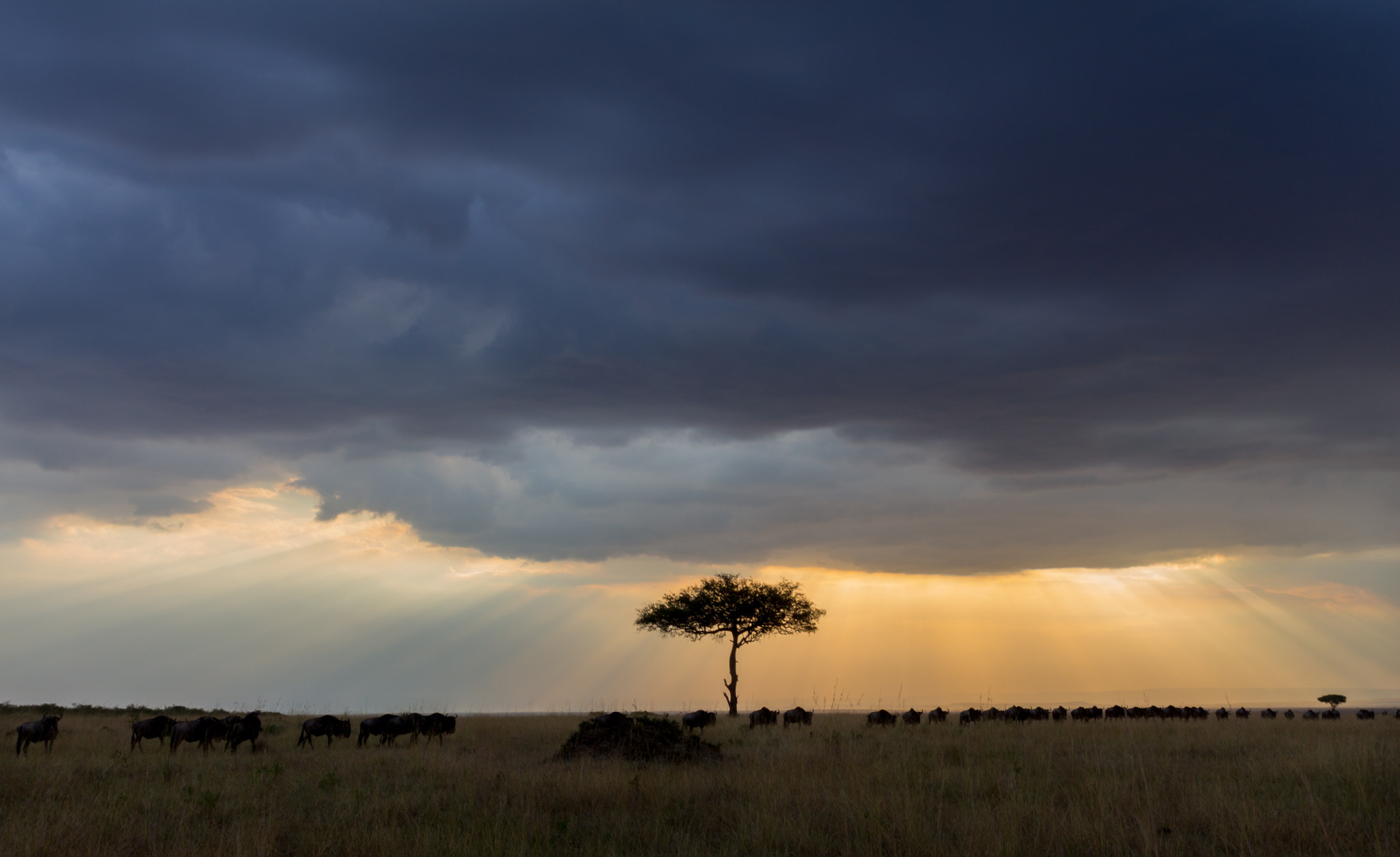 Canon EOS 650D (EOS Rebel T4i / EOS Kiss X6i) sample photo. Mara sunset photography