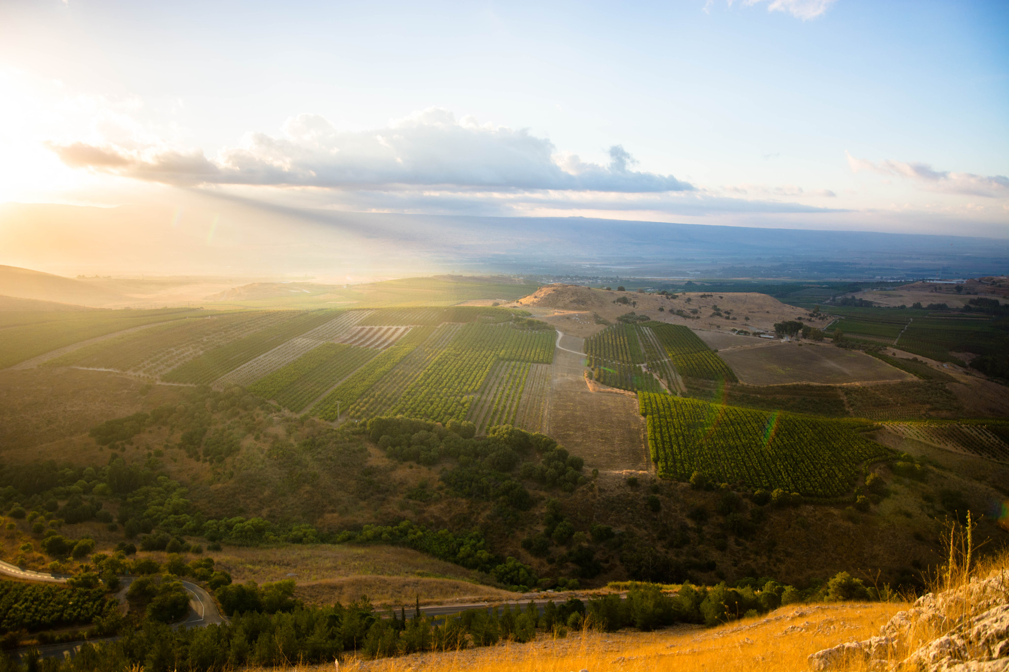 Nikon D7100 + Samyang 16mm F2 ED AS UMC CS sample photo. Morning shades photography