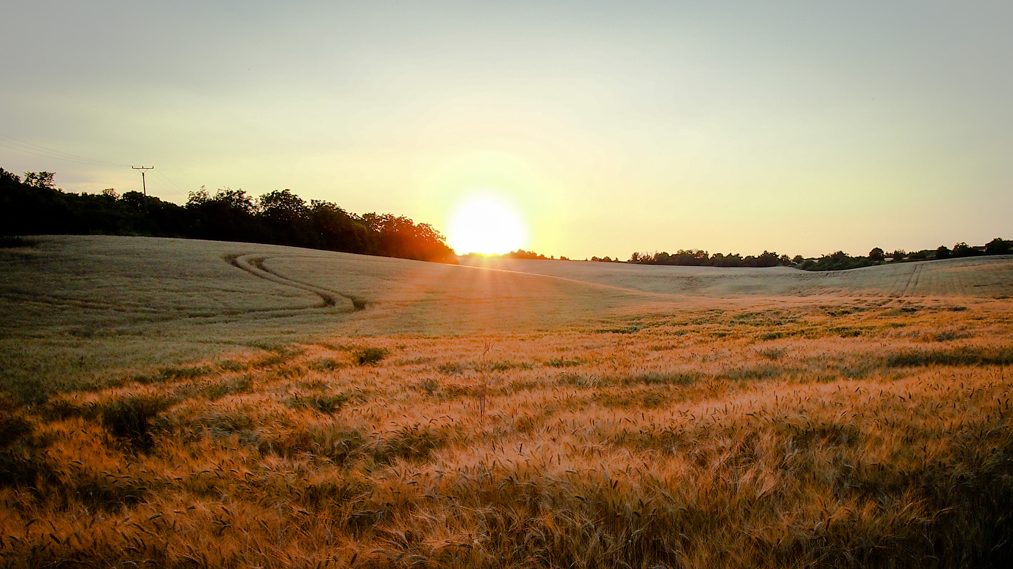 Olympus PEN E-PL3 + Panasonic Lumix G 14mm F2.5 ASPH sample photo. Field photography