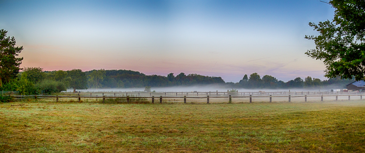 Canon EOS-1D Mark IV sample photo. Pferdewiese im nebel  photography
