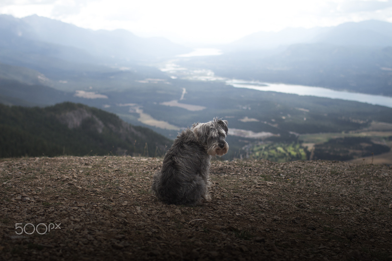 Canon EOS 700D (EOS Rebel T5i / EOS Kiss X7i) + Canon EF 35mm F1.4L USM sample photo. Hikes with a man's best friend photography