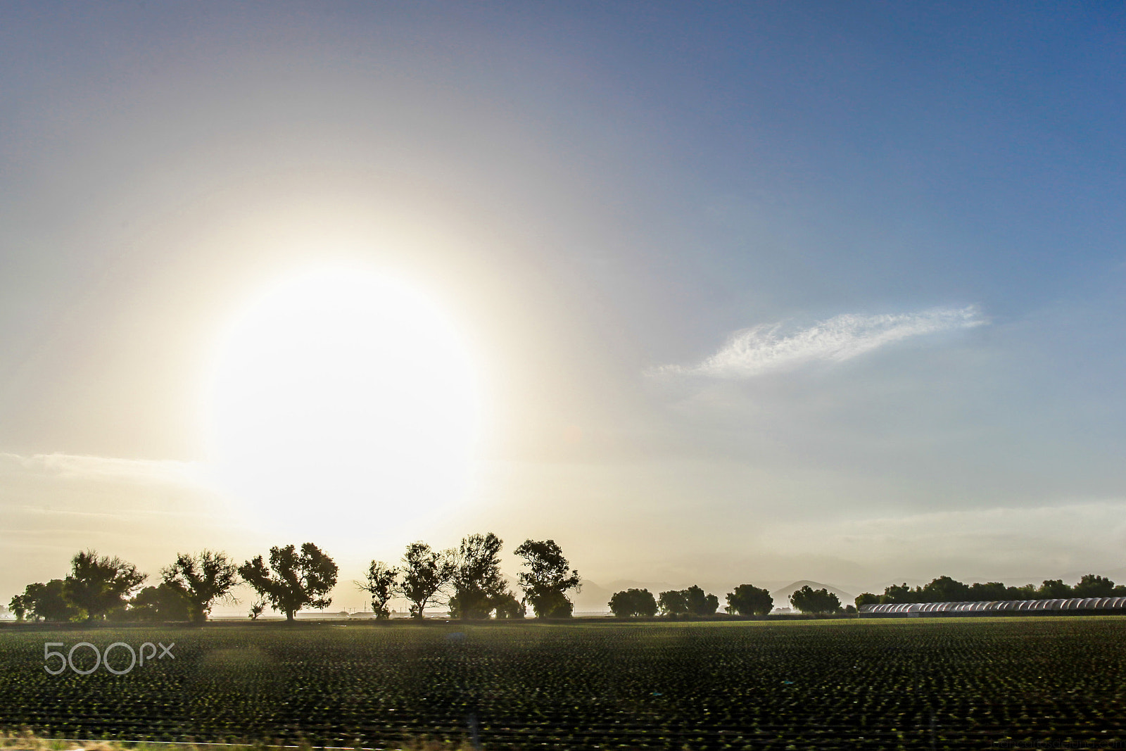 Canon EOS 5D Mark II + Canon EF 24-85mm F3.5-4.5 USM sample photo. Oxnard sunrise photography