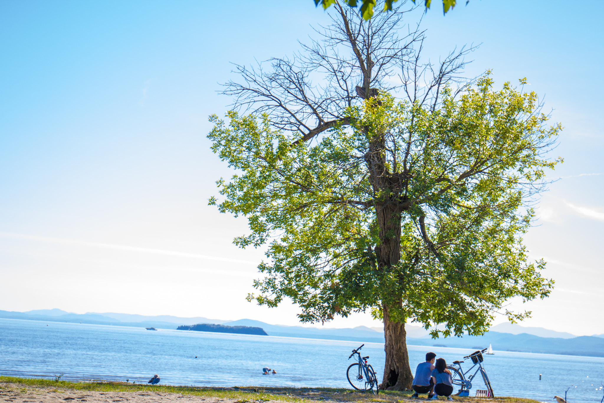 Canon EF 24-70mm F4L IS USM sample photo. Couple under a tree at the beach photography