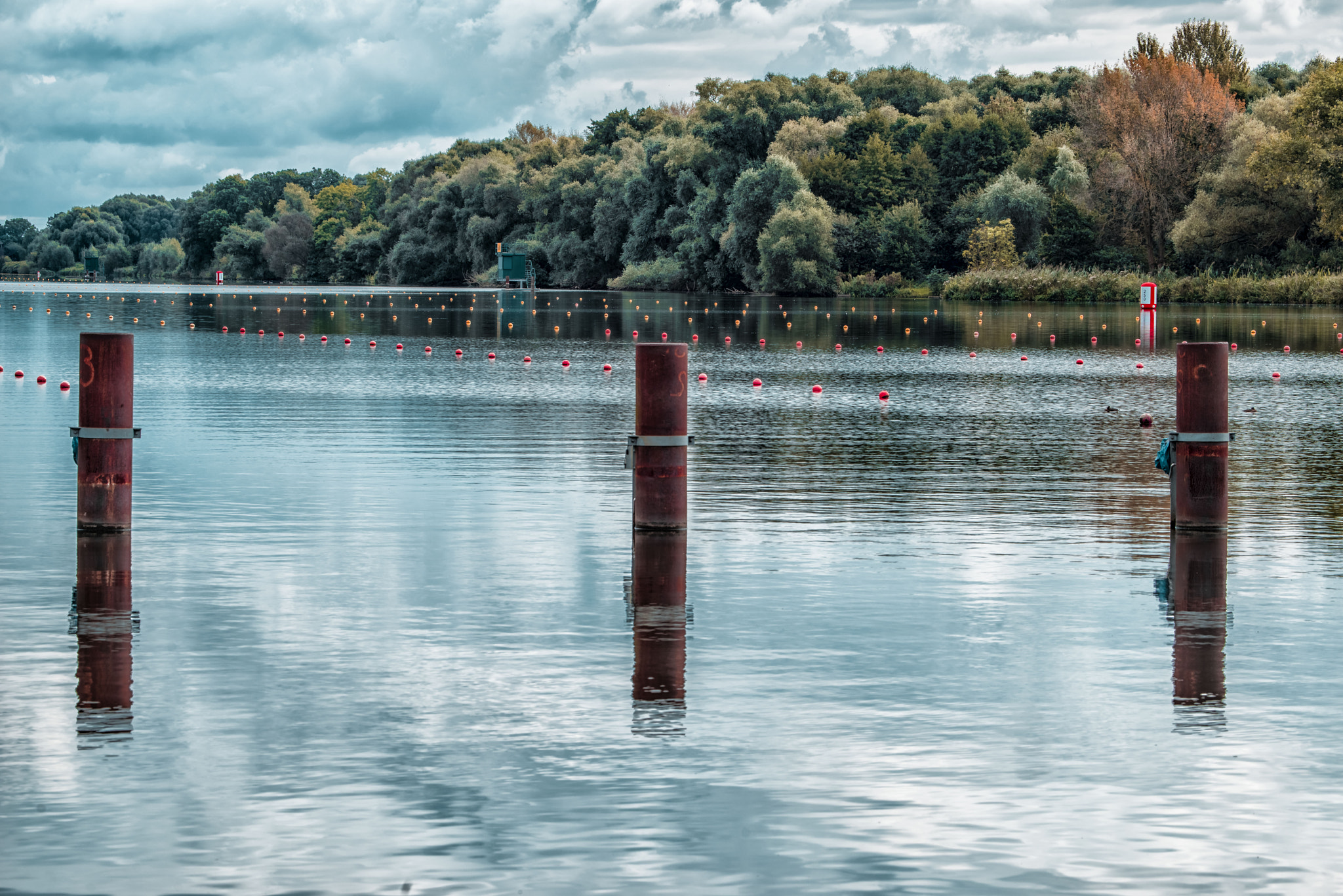 Canon EF 100-400mm F4.5-5.6L IS USM sample photo. Dove elbe photography