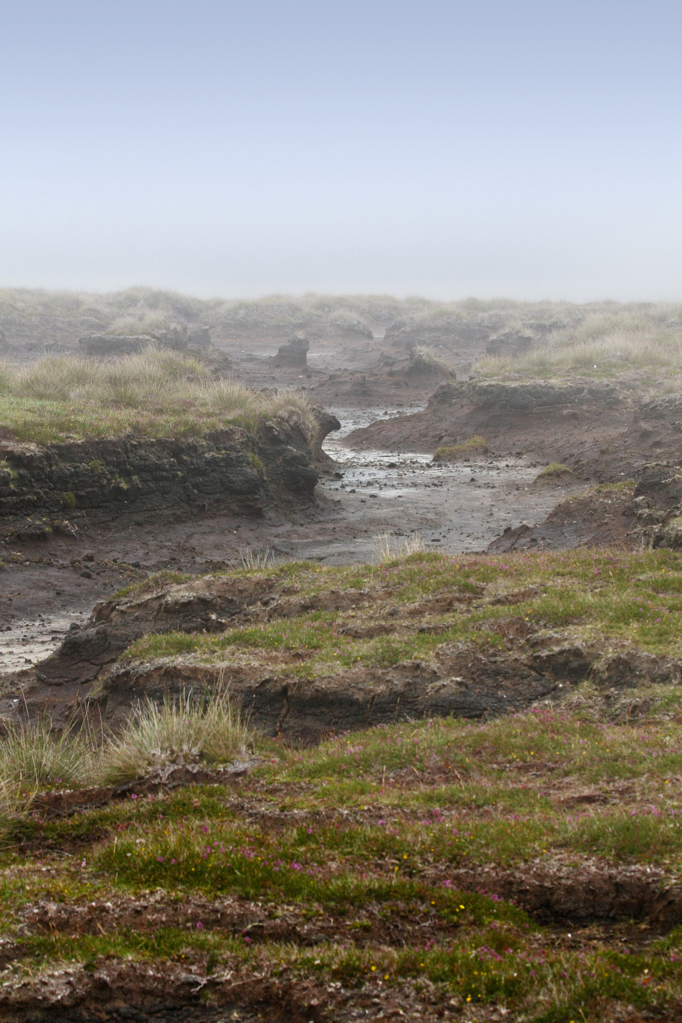 Canon EF 70-300mm F4-5.6 IS USM sample photo. Wasteland photography