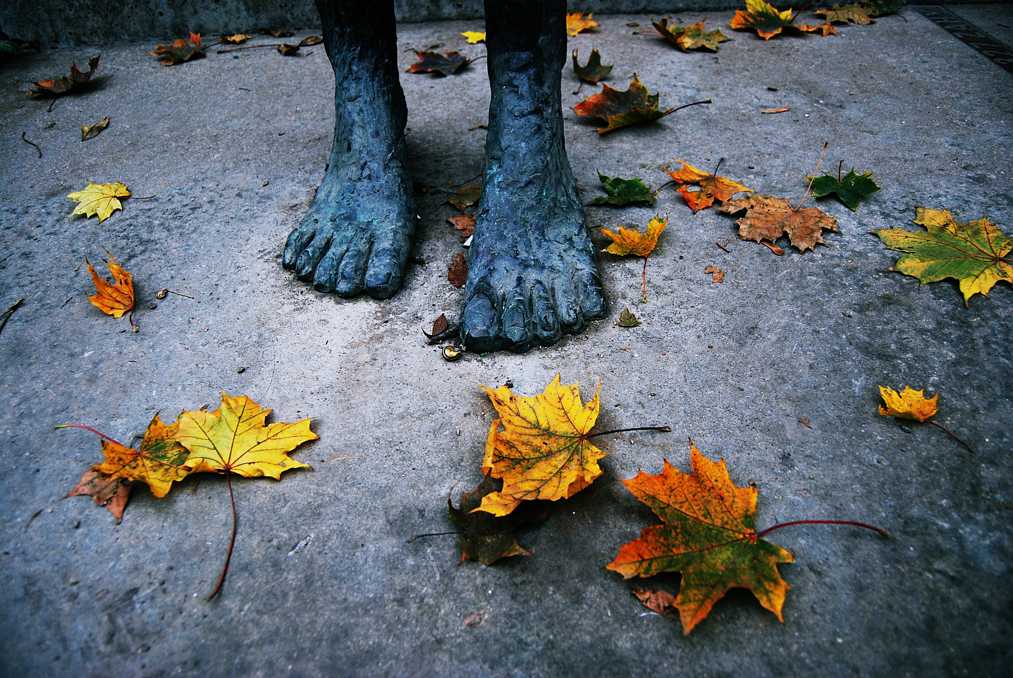 Nikon D80 sample photo. .. feel autumn photography