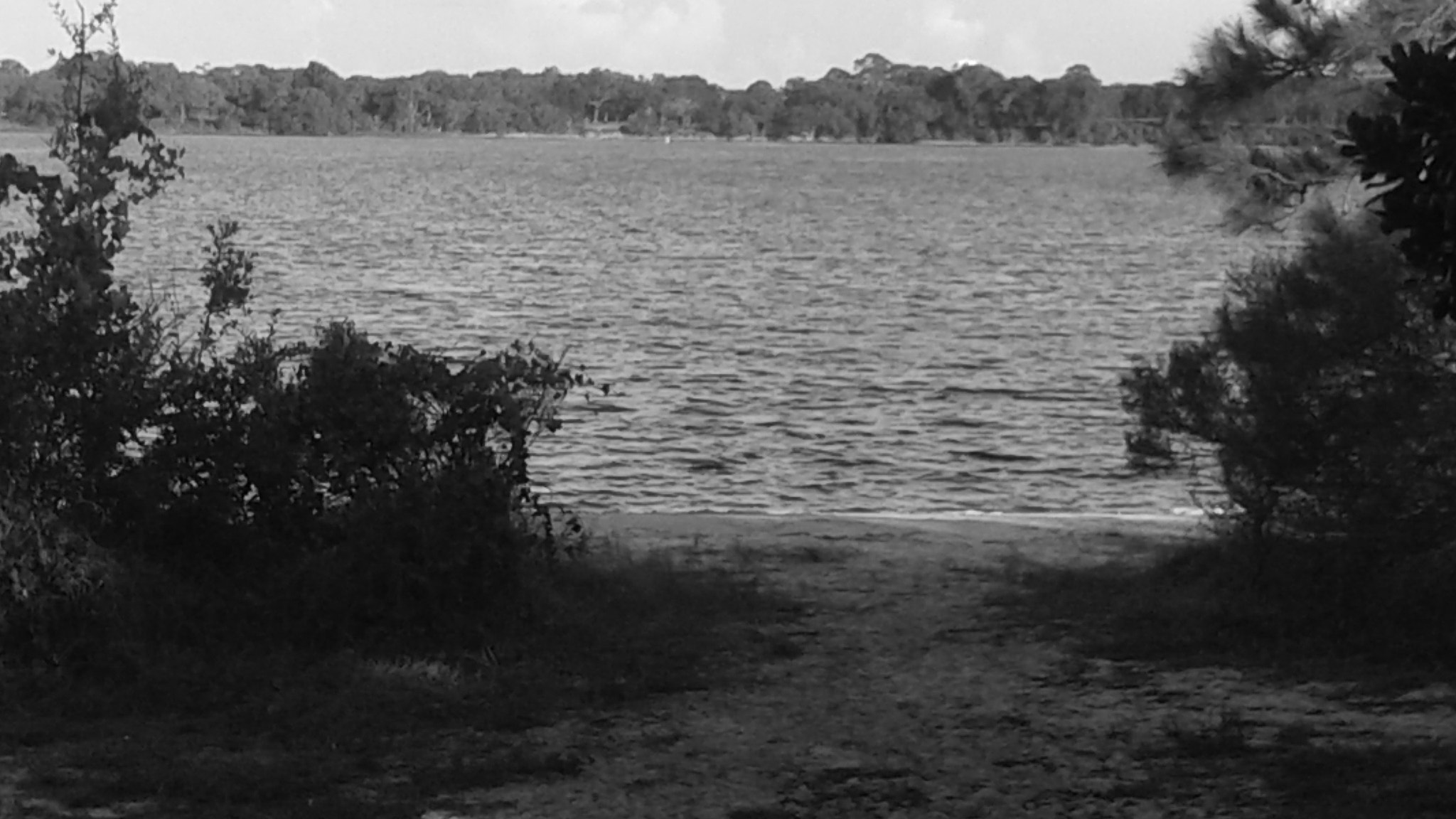 Samsung Galaxy Avant sample photo