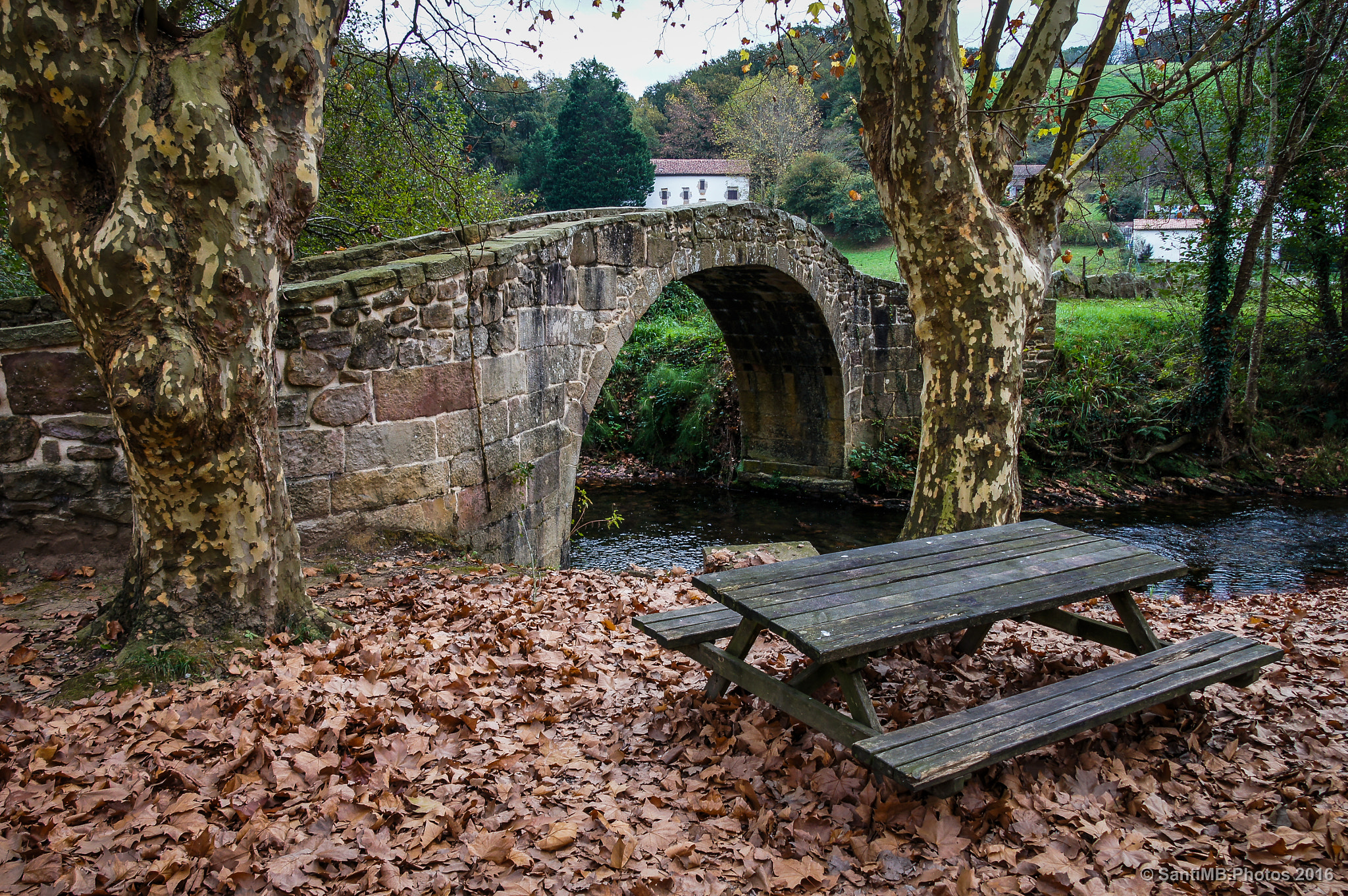 Sony Alpha DSLR-A580 sample photo. Antes de cruzar photography