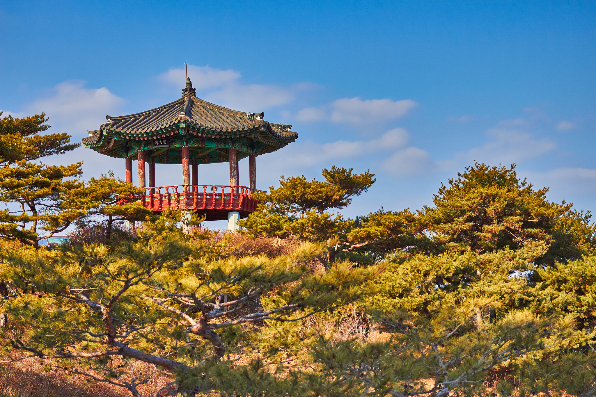 Canon EF 40mm F2.8 STM sample photo. Cheongpung center photography