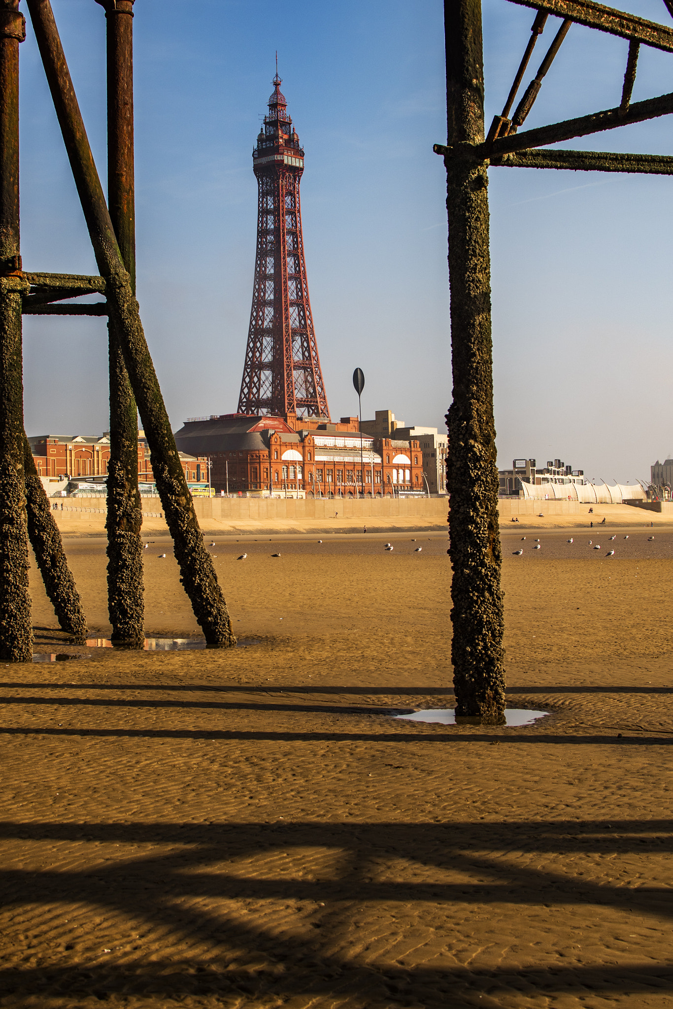 Nikon D810 + Nikon AF-S DX Nikkor 35mm F1.8G sample photo. Blackpool tower from beneath north pier photography