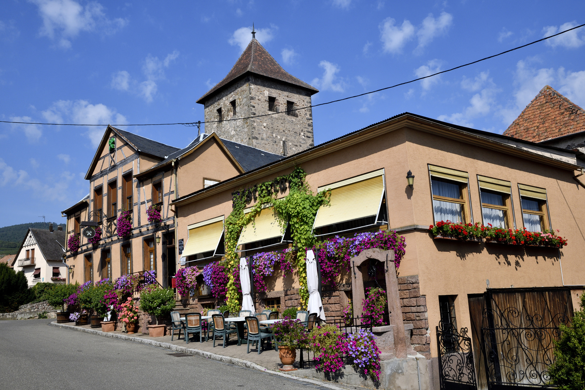 Nikon D500 sample photo. Dambach-la-ville photography
